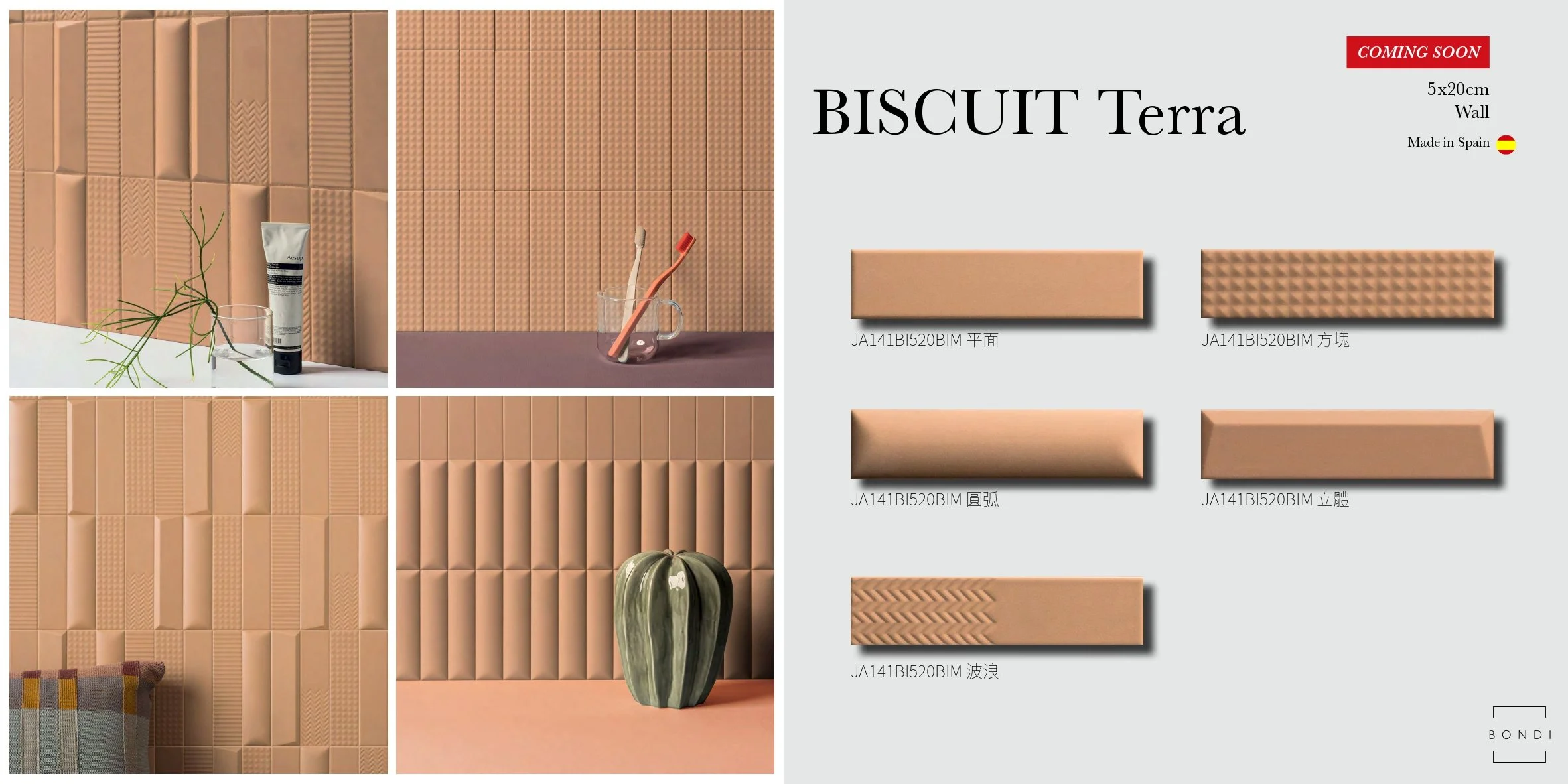 BISCUIT Terra 5x20.jpg