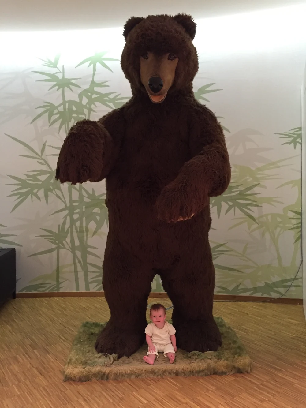 Clara's nickname-sake at Steiff