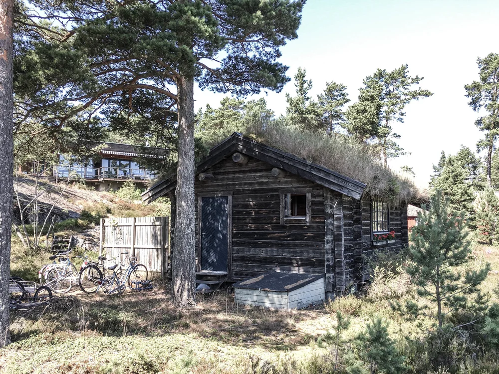 We went for a run around Sandön