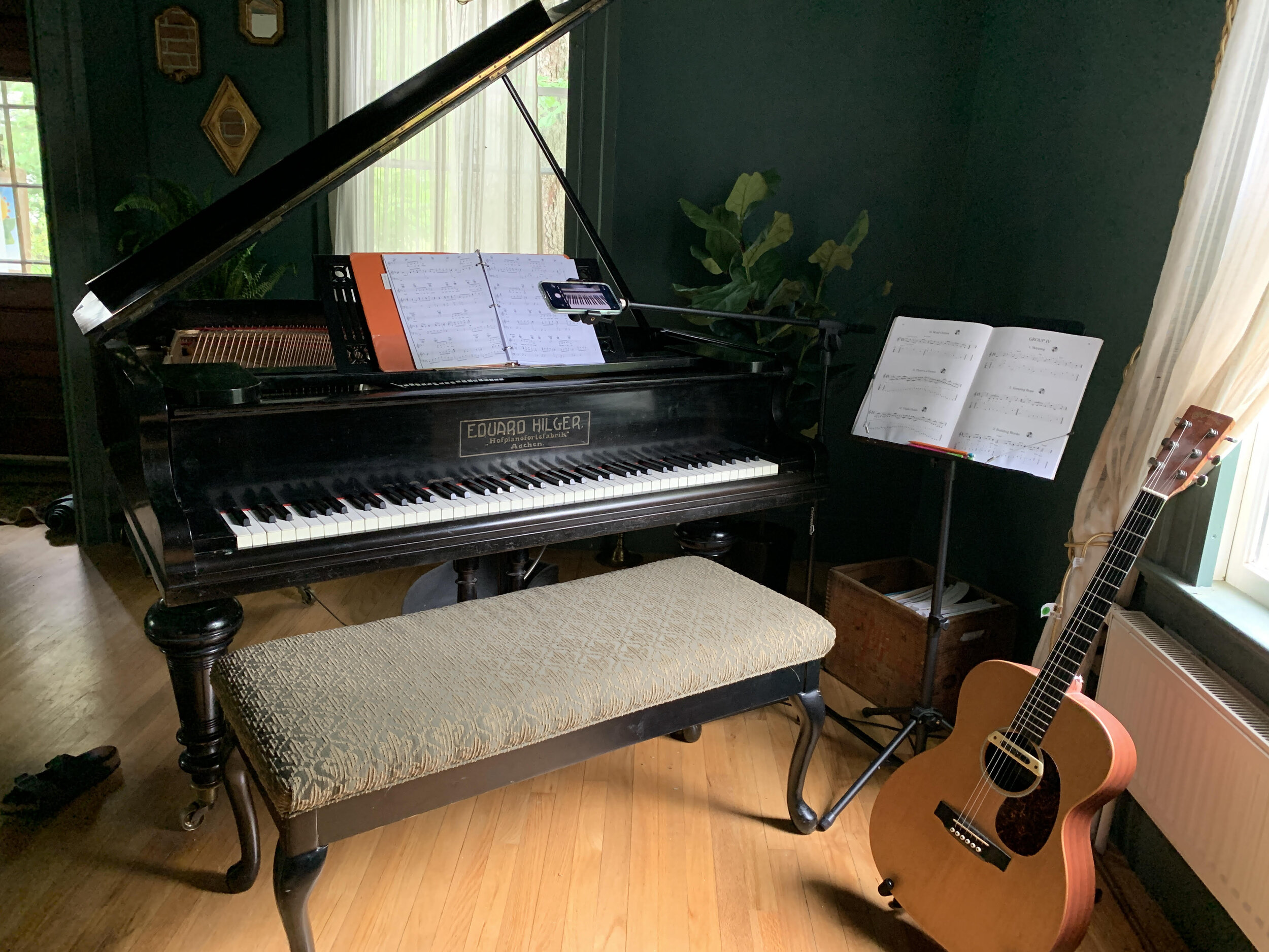 virtual lessons.jpeg