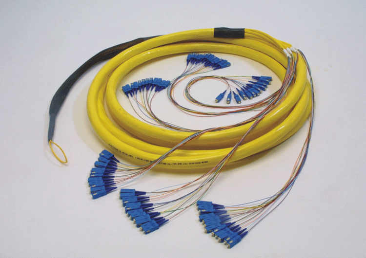 multi-fiber-IFC.gif