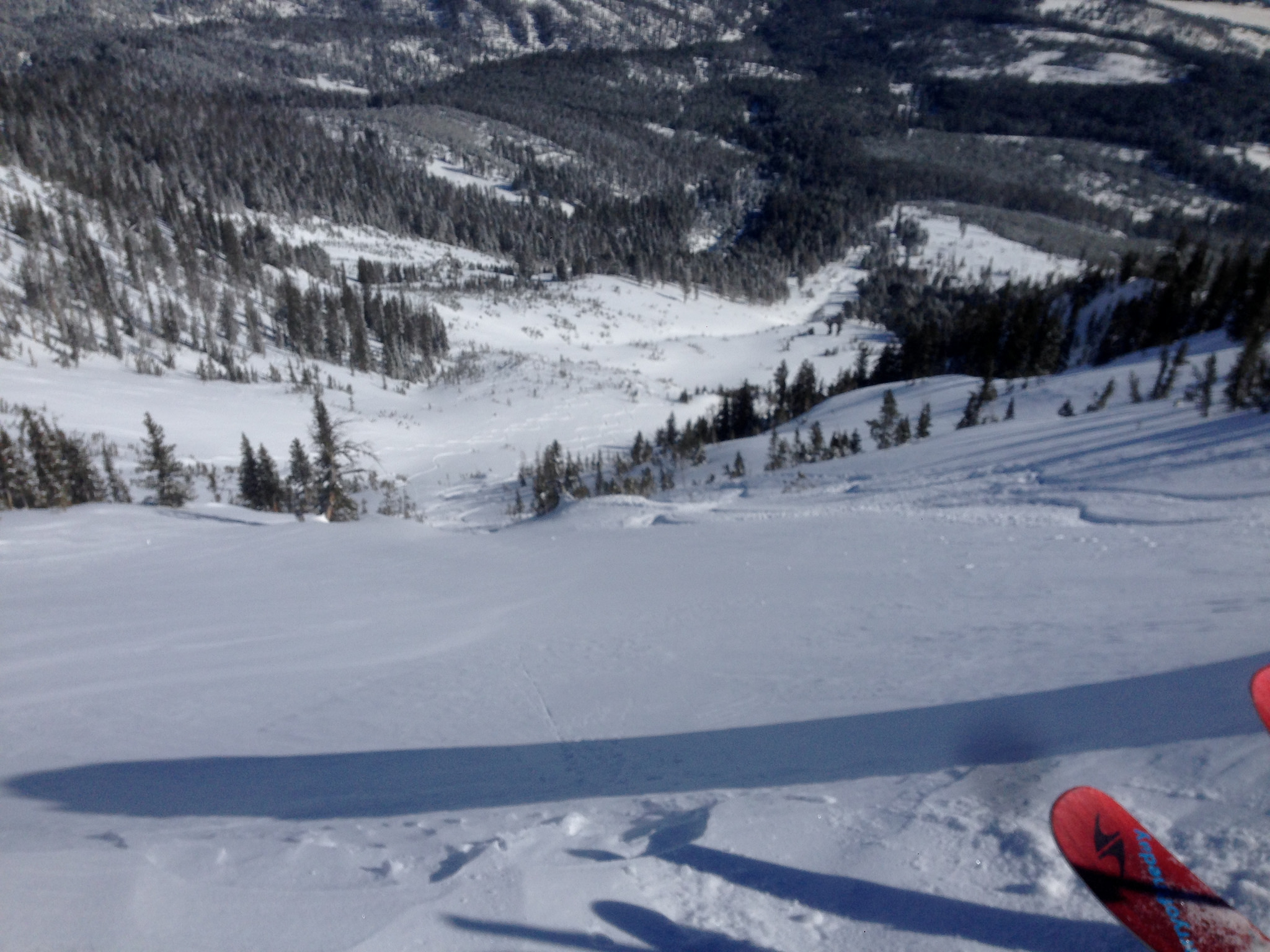 Dropping into "Argentina", a half hour side country trek, after the resort was tracked. Bridger Bowl