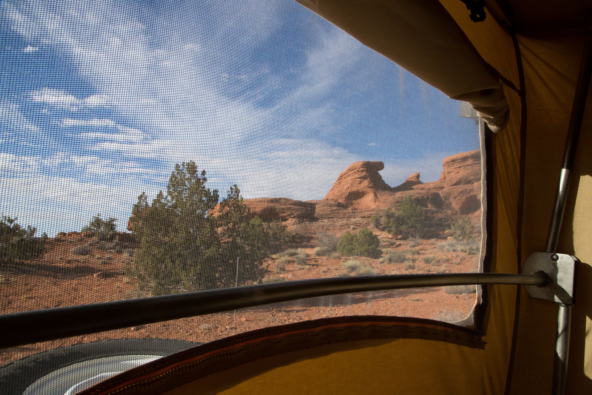 Morning view from the pop top.