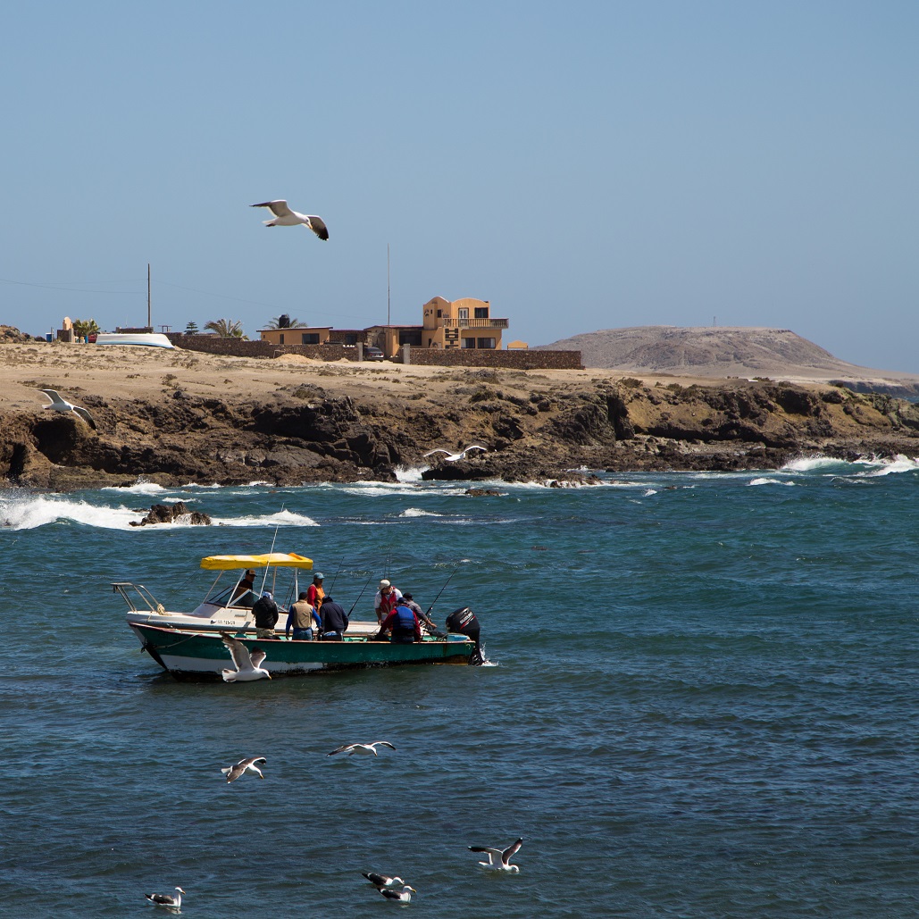 One of the boats coming in with their catch for the Yellow Tail fishing competition.