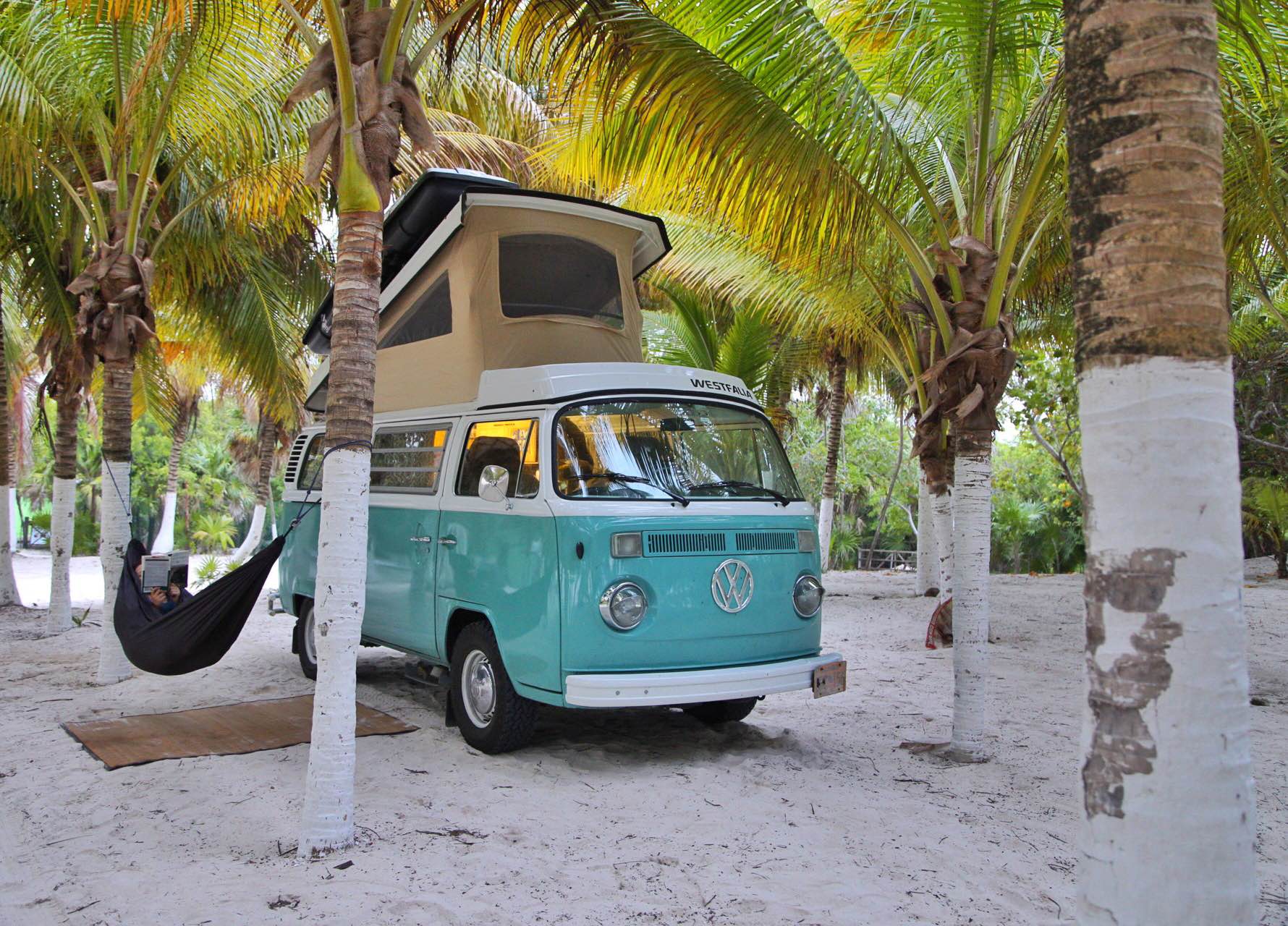 We had this place entirely to ourselves, except for the bugs.