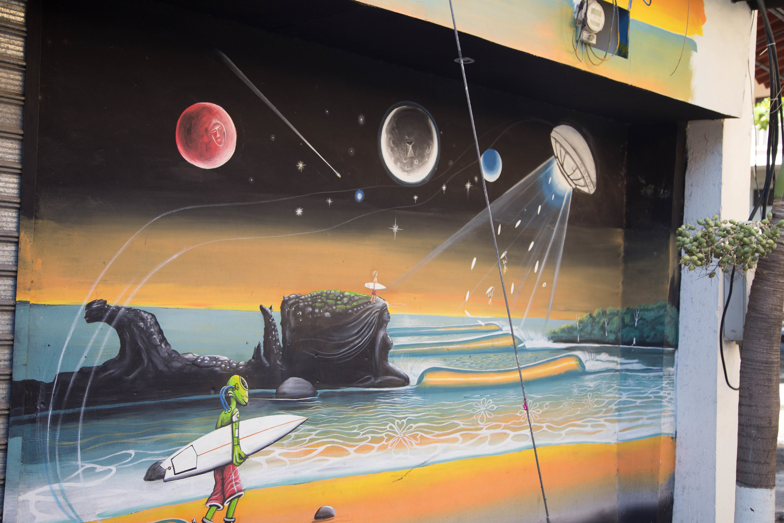 Local Mural. Pretty self explanatory, aliens love to surf.