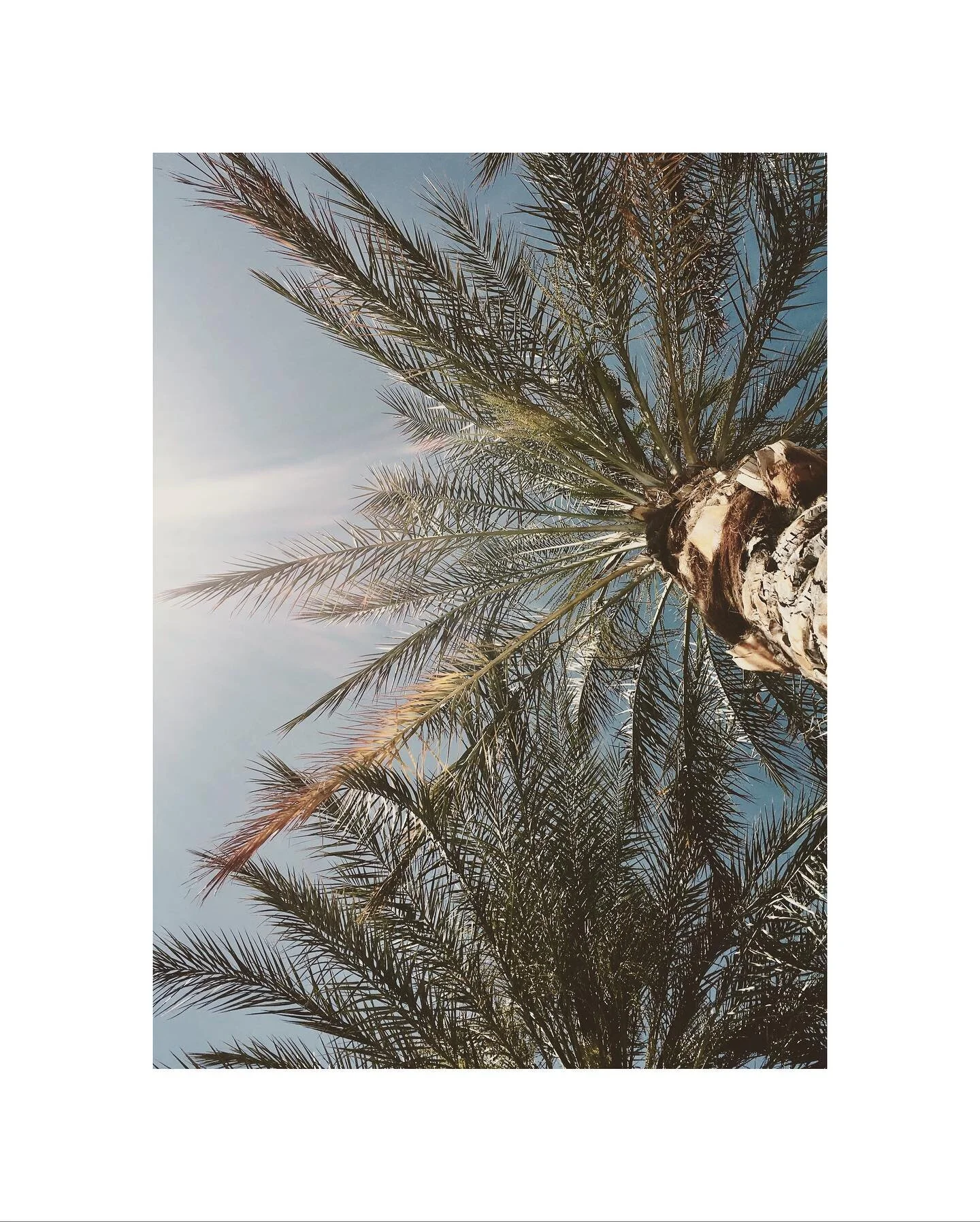 Palm Springs, California, USA. April 15, 2017 02:15 PM
.
.
.
Oh the places we would go. Palm Springs set the bar for 2017 being a year of saying yes to opportunities to combine work with travel. It was lavish, fun, and always provided a pool to lay b