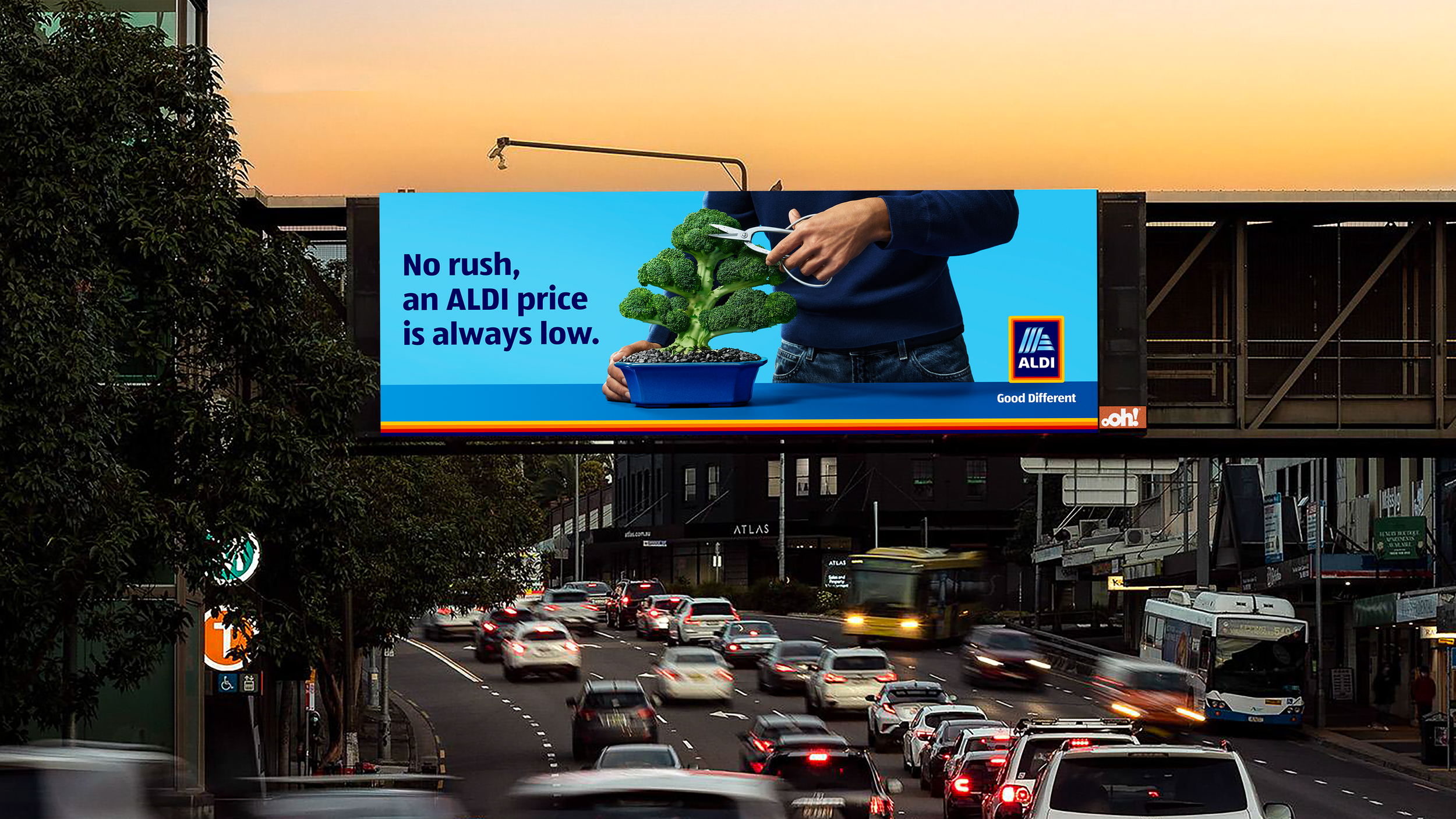ALDI BROCOLONSAI OOH 8@0.5x.png