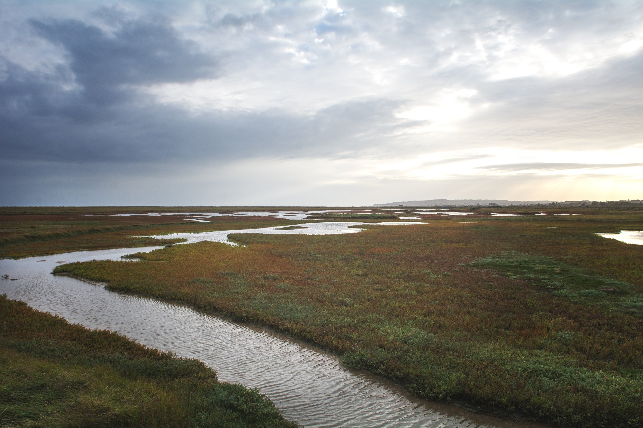 54 a.Rye harbour nature reserve .jpg