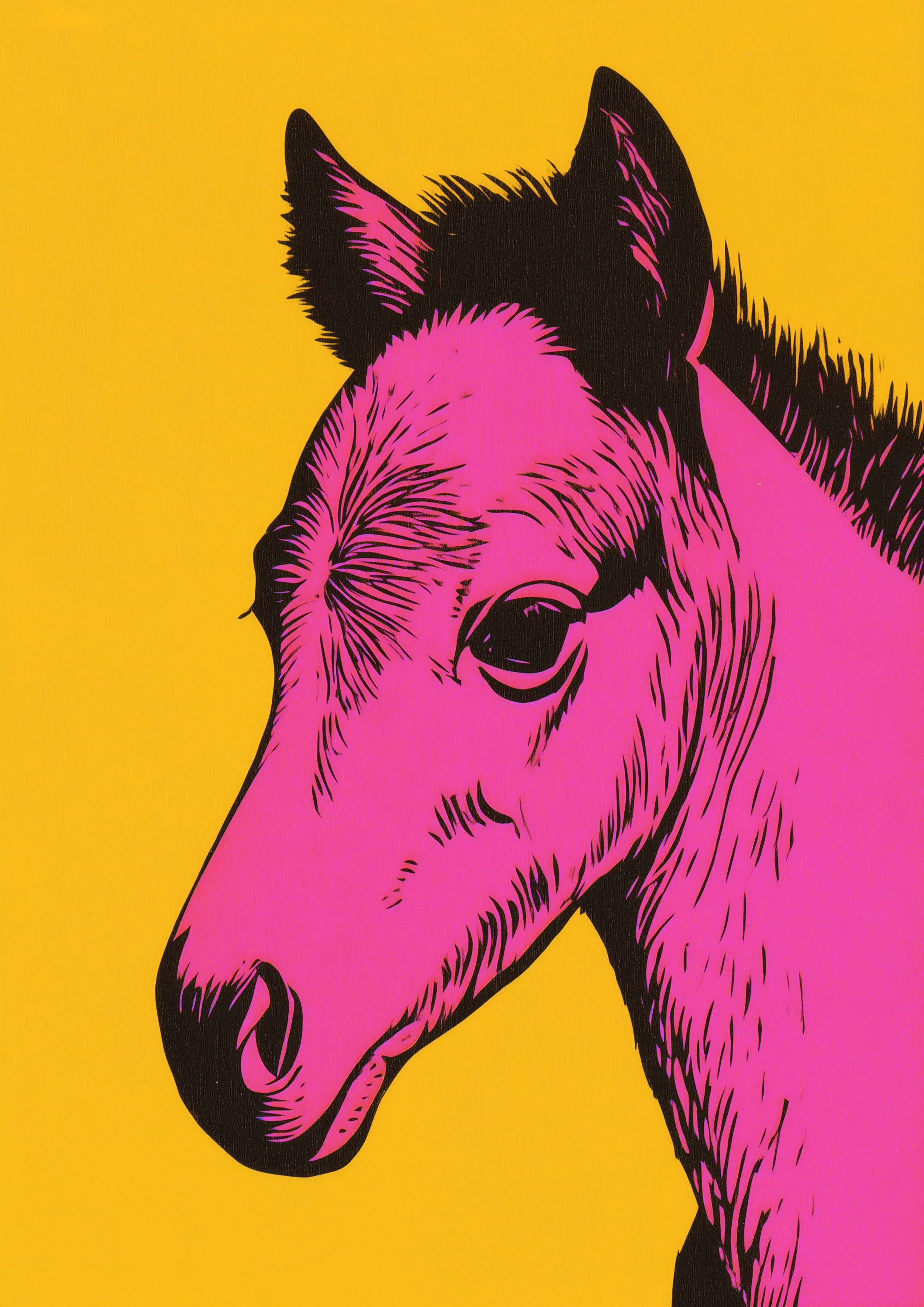 pink foal.jpg