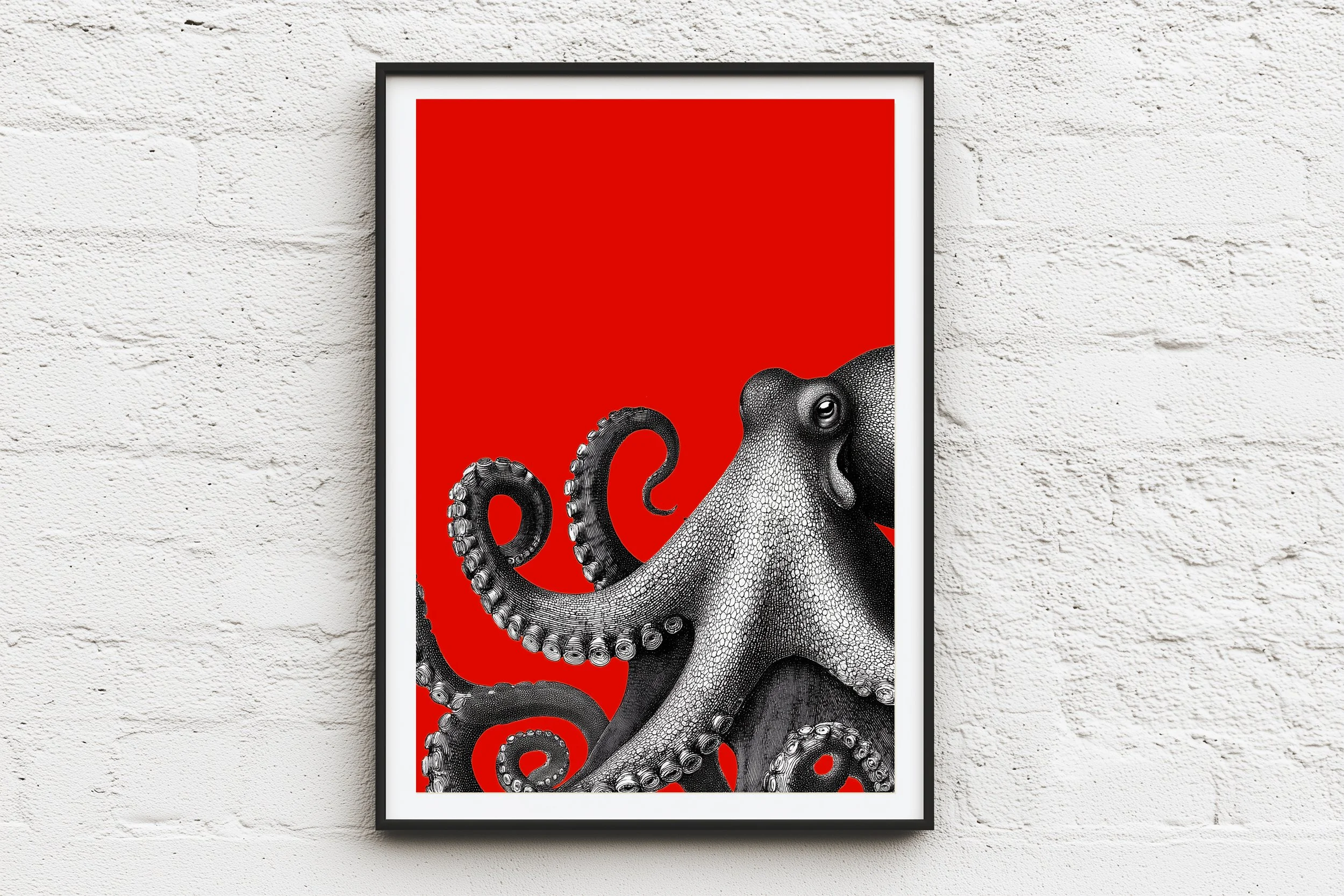 octo 1 framed.jpg