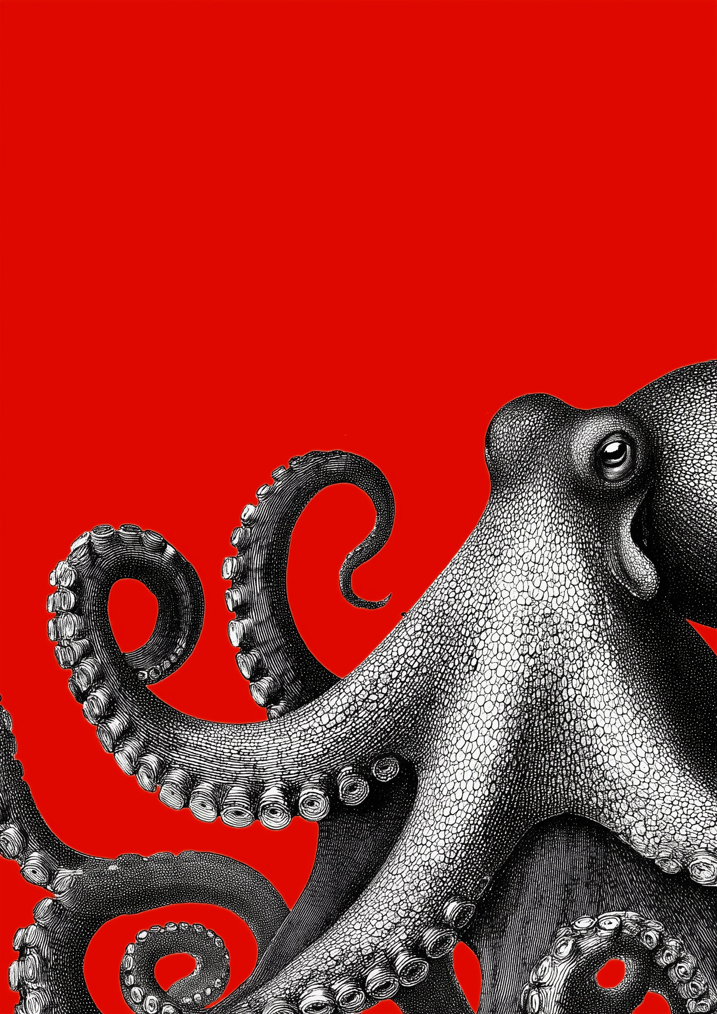 Black and white illustration of an octopus with its tentacles curling, set against a solid red background.