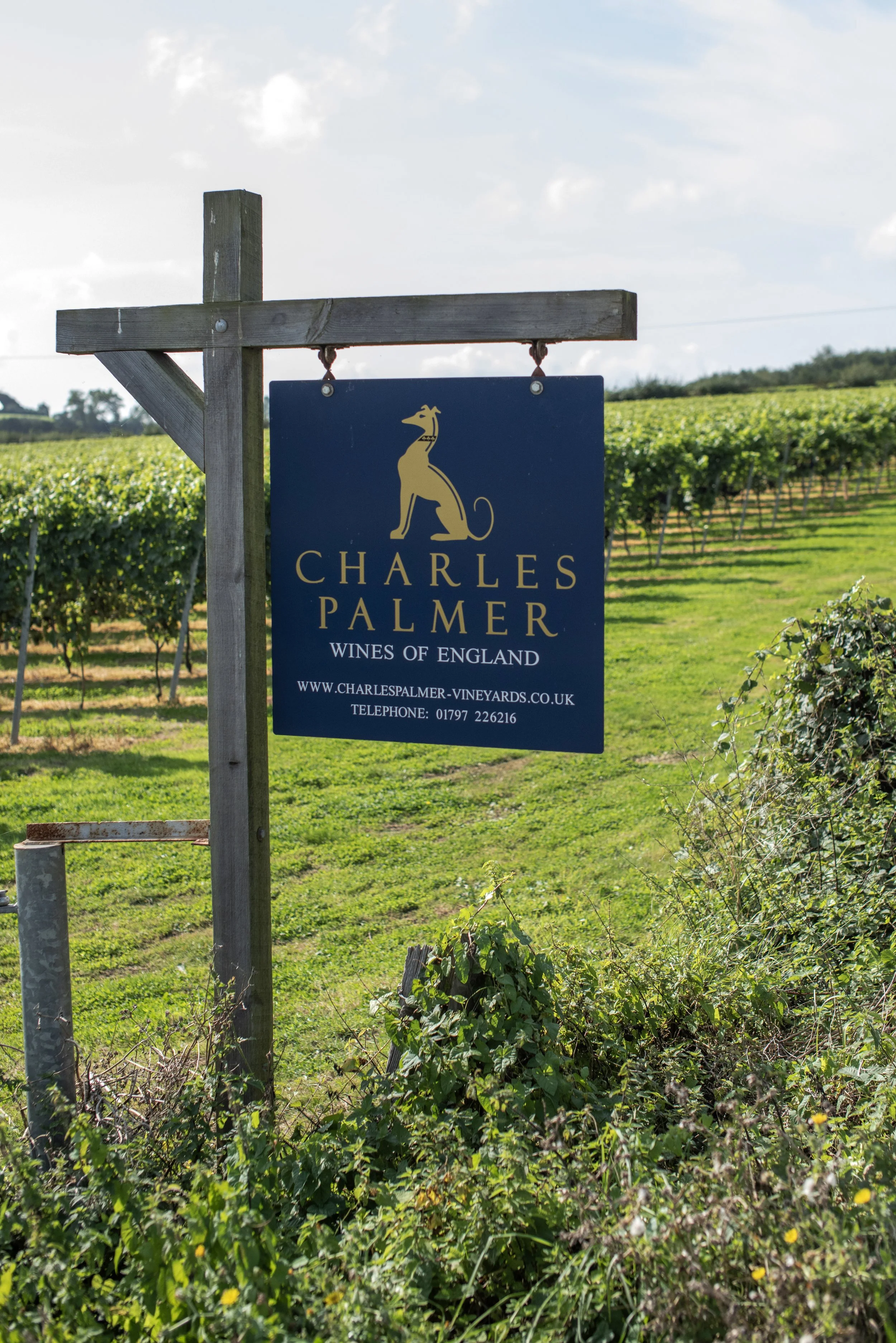 1,Charles Palmer vineyard.jpg