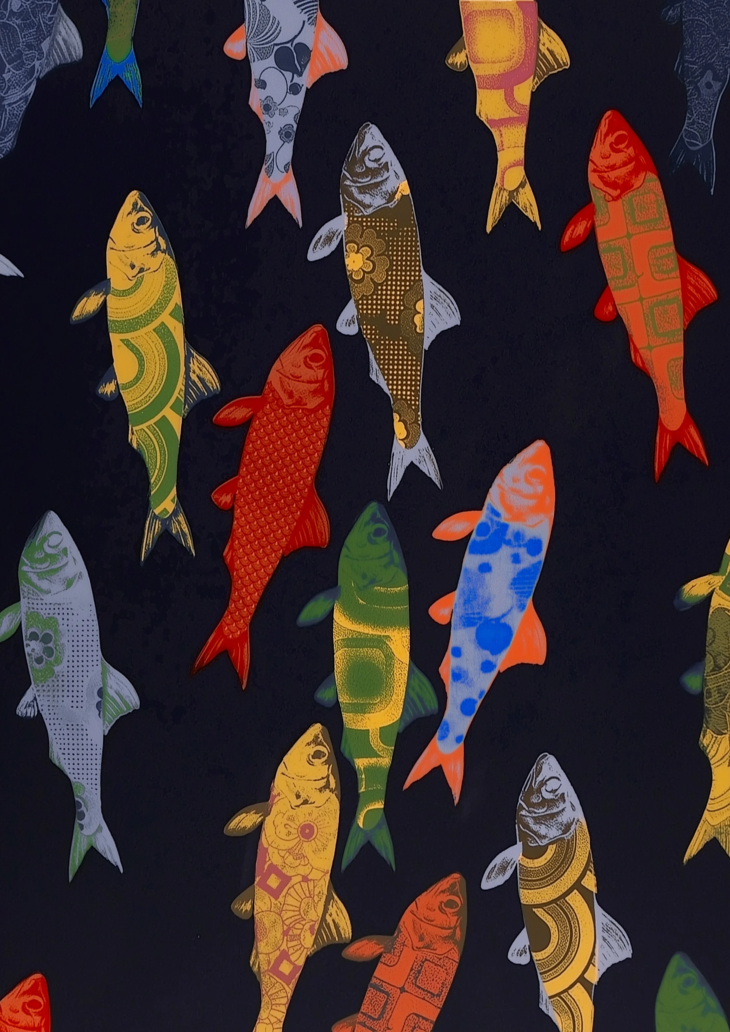 collage fish copy.jpg