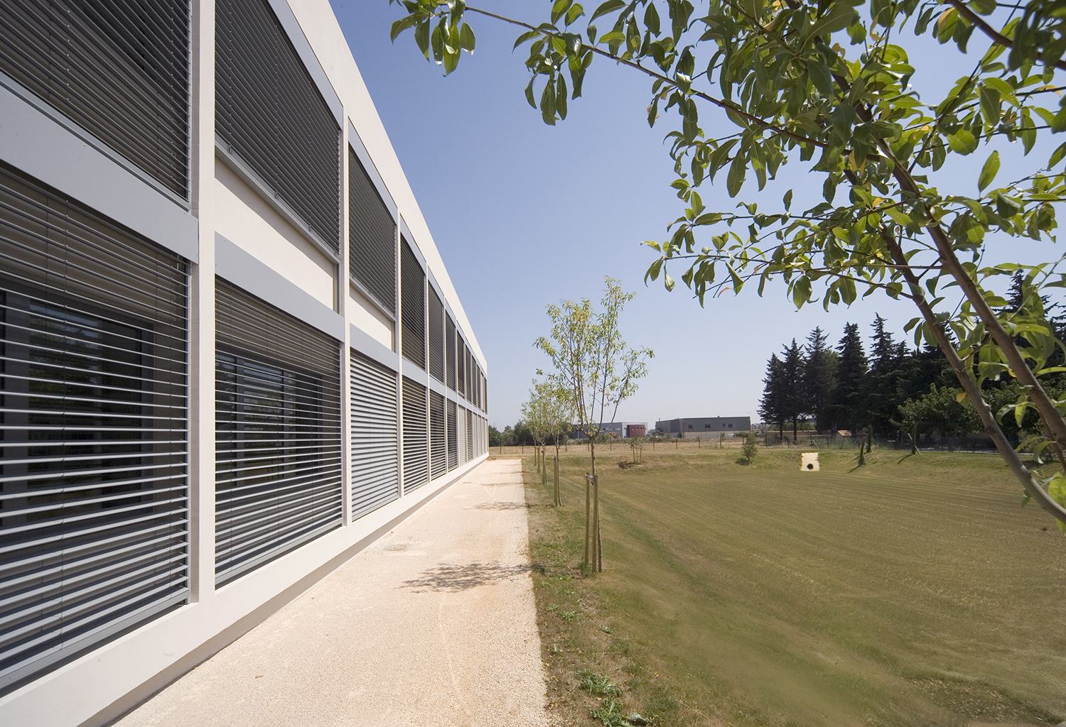 5ex-nimes4966-green.jpg