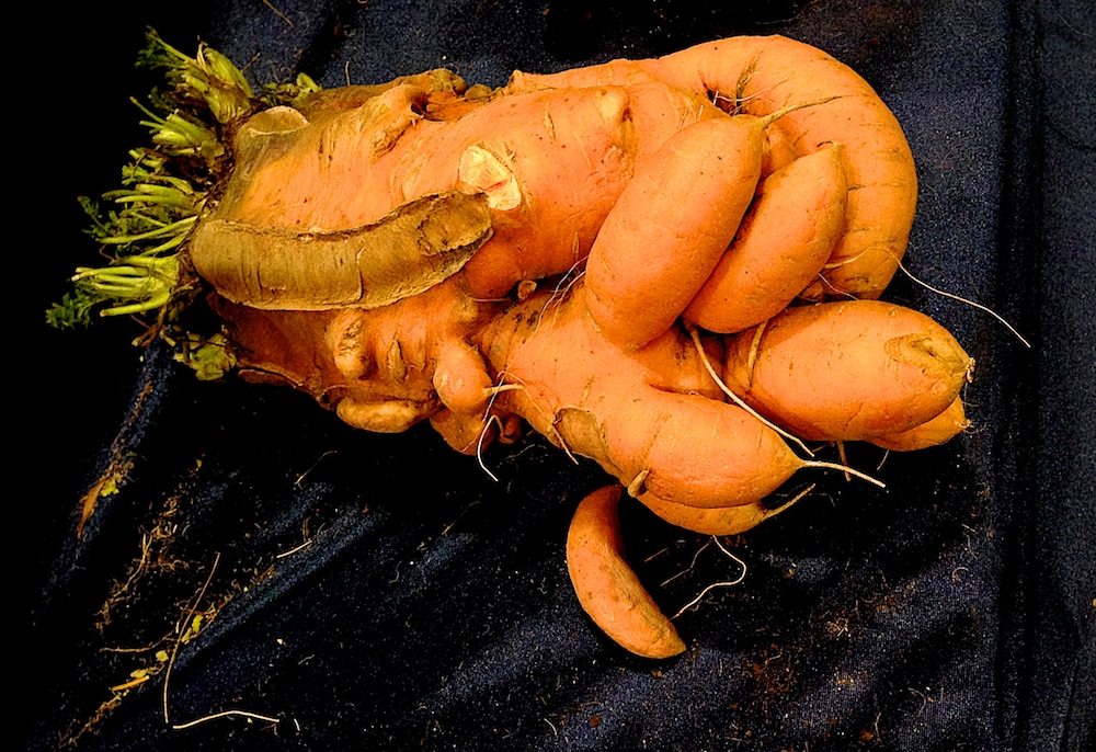 07Natural Oddity 23536.jpg