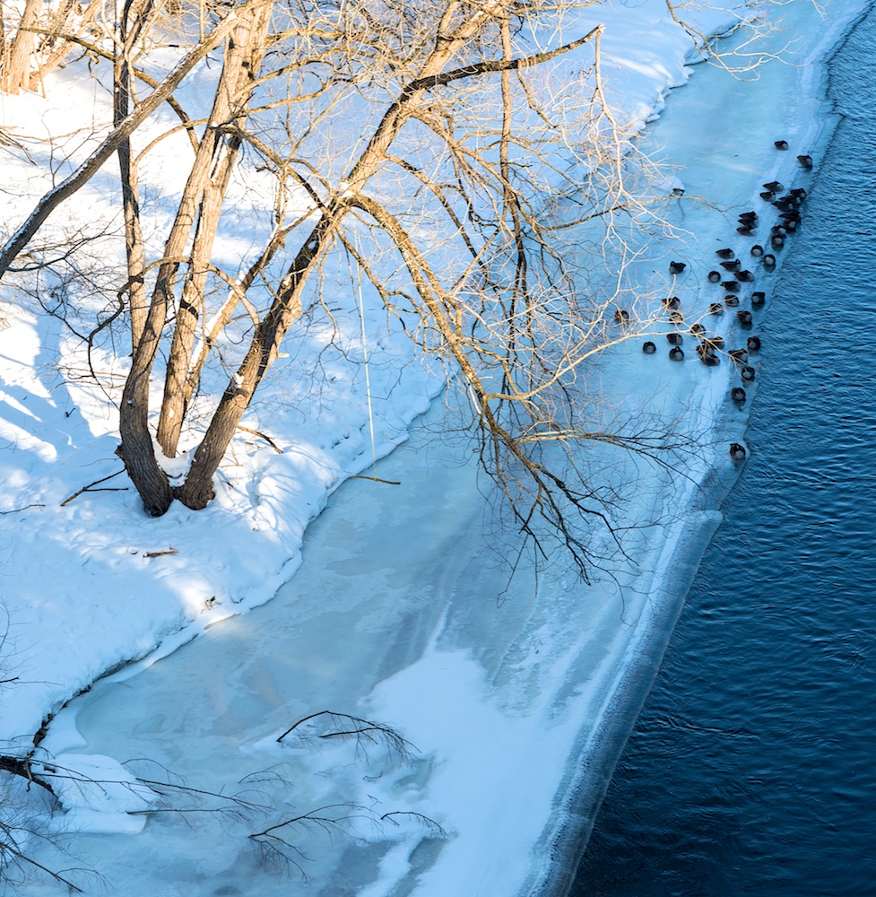 08-A View from Above 23550.jpg