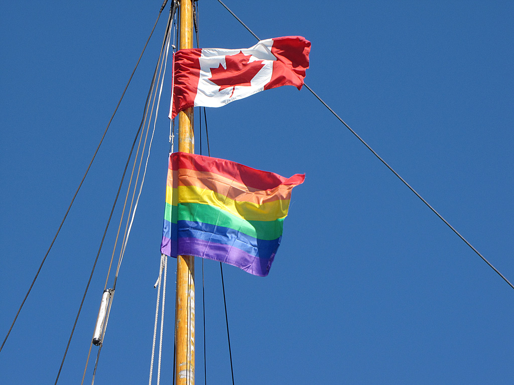 01 VIV 08 10Flags.jpg