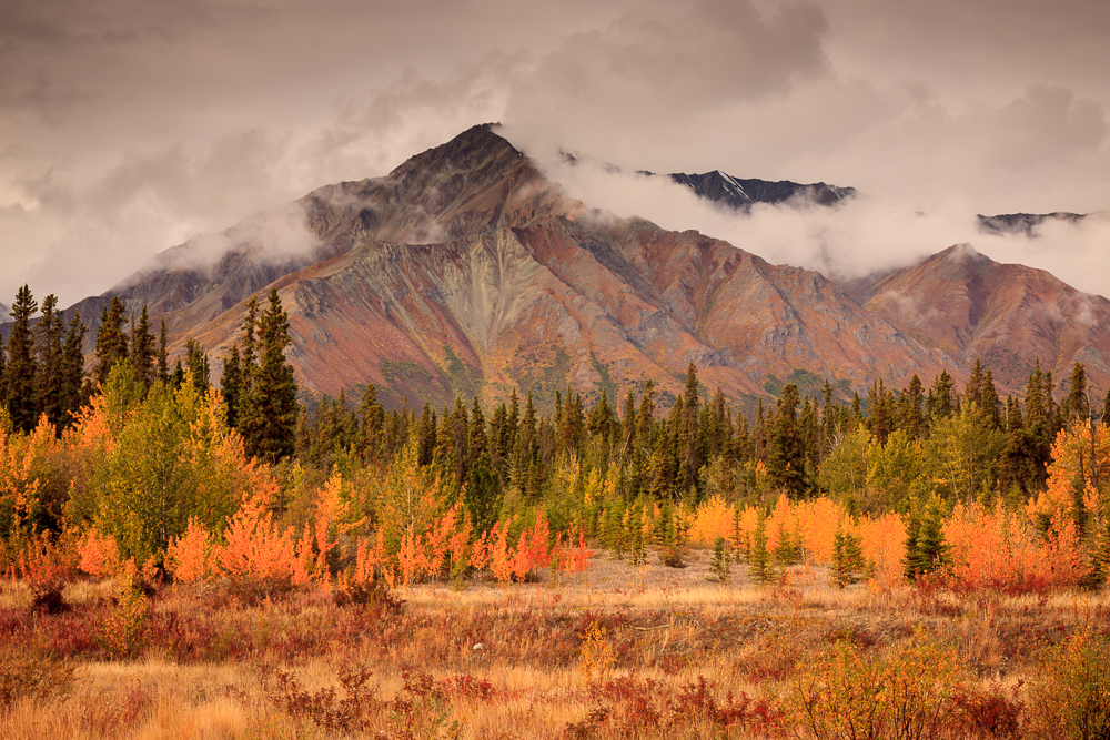 Randy - Autum Pallette.jpg