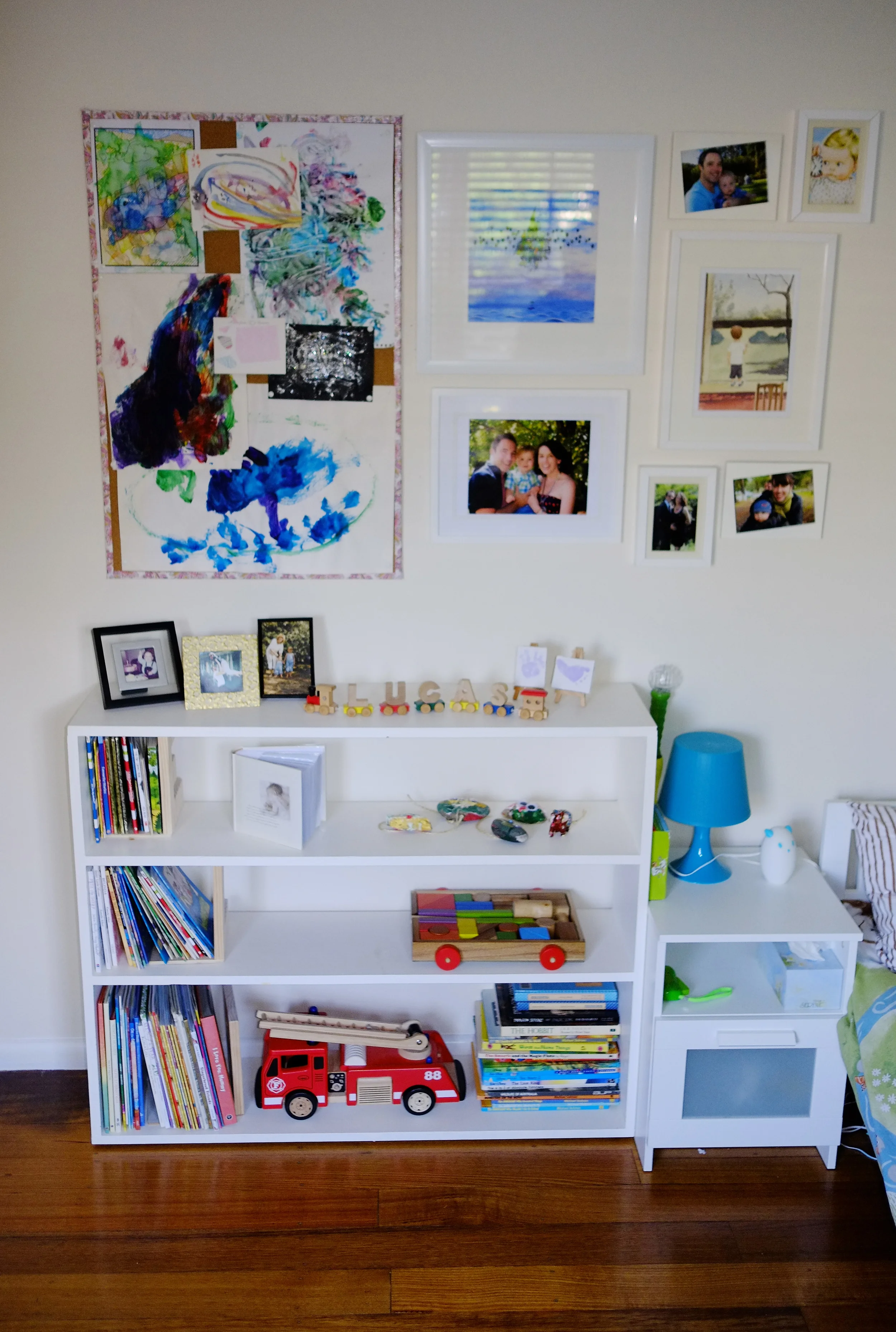 bookshelves and art