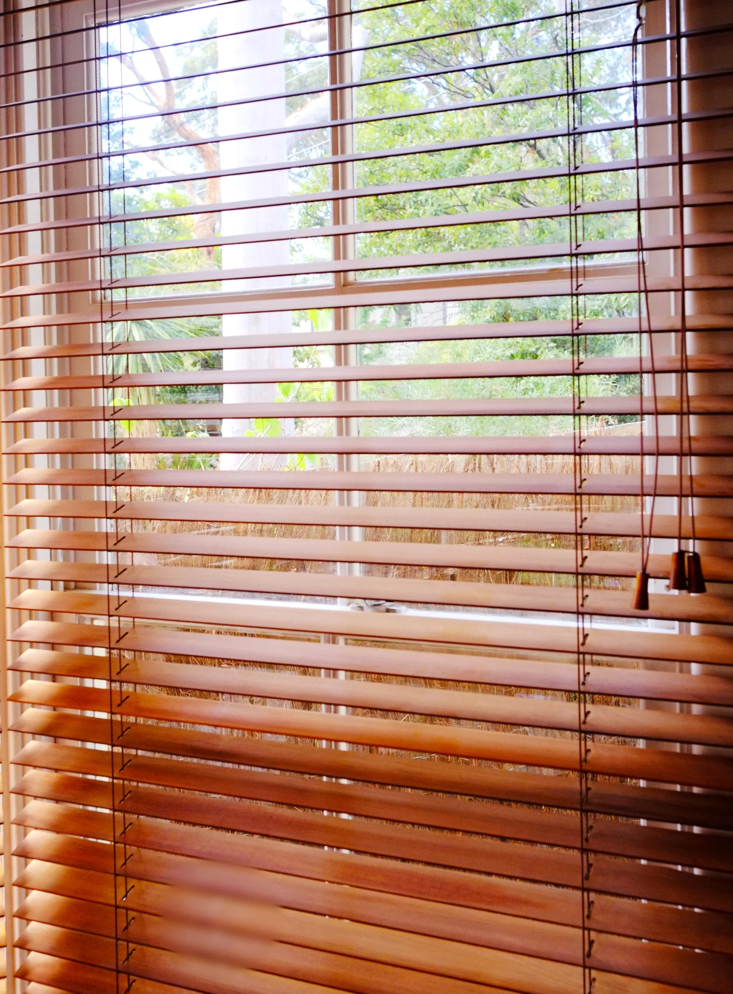 venetian blinds