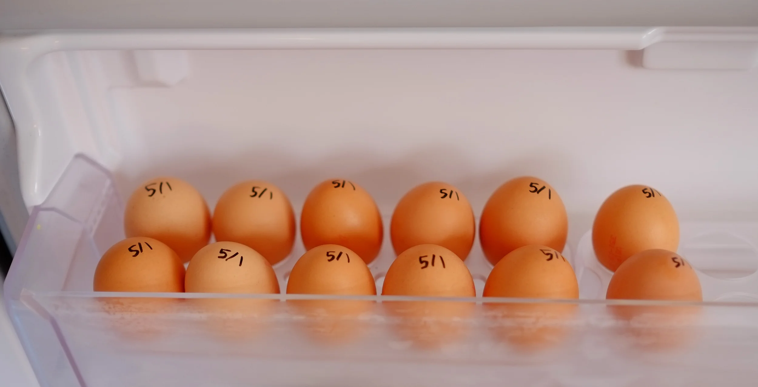 labelled eggs