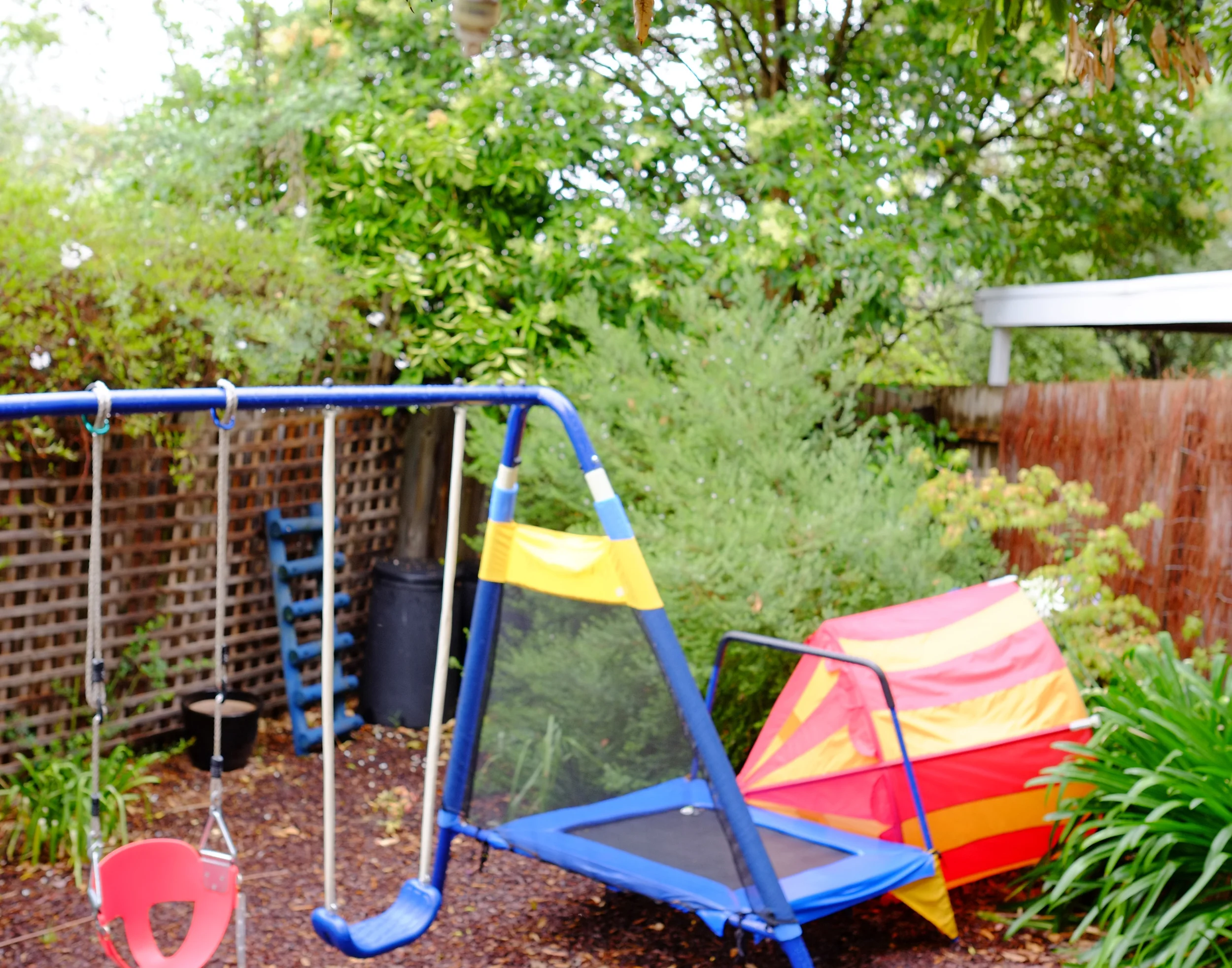 messy garden