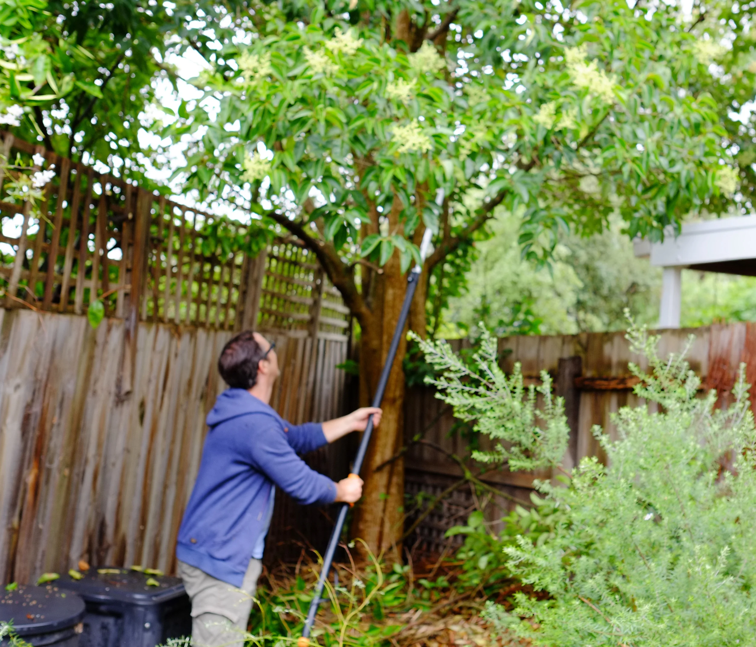 clearing garden waste