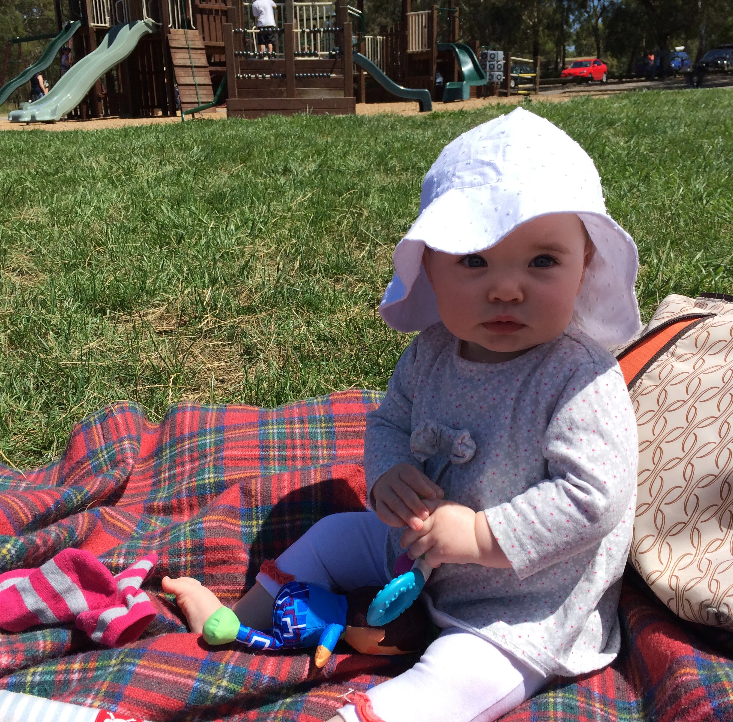Christmas traditions - Christmas Eve day picnic