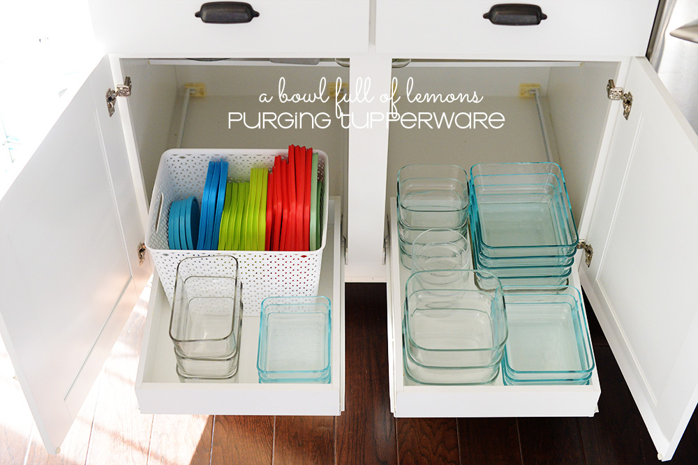 How to Choose the Right Food Storage Containers for Your Kitchen - Holar
