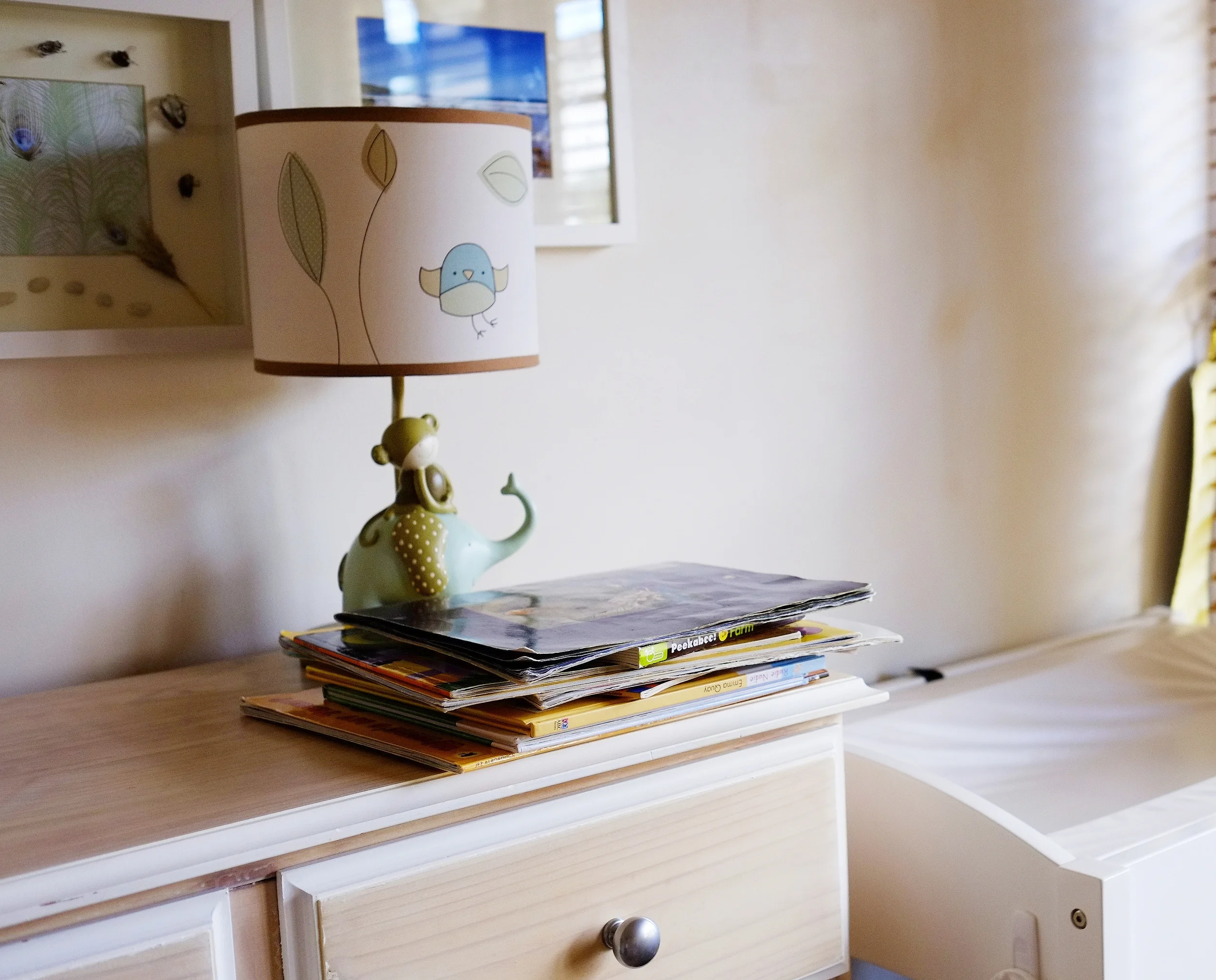Book storage