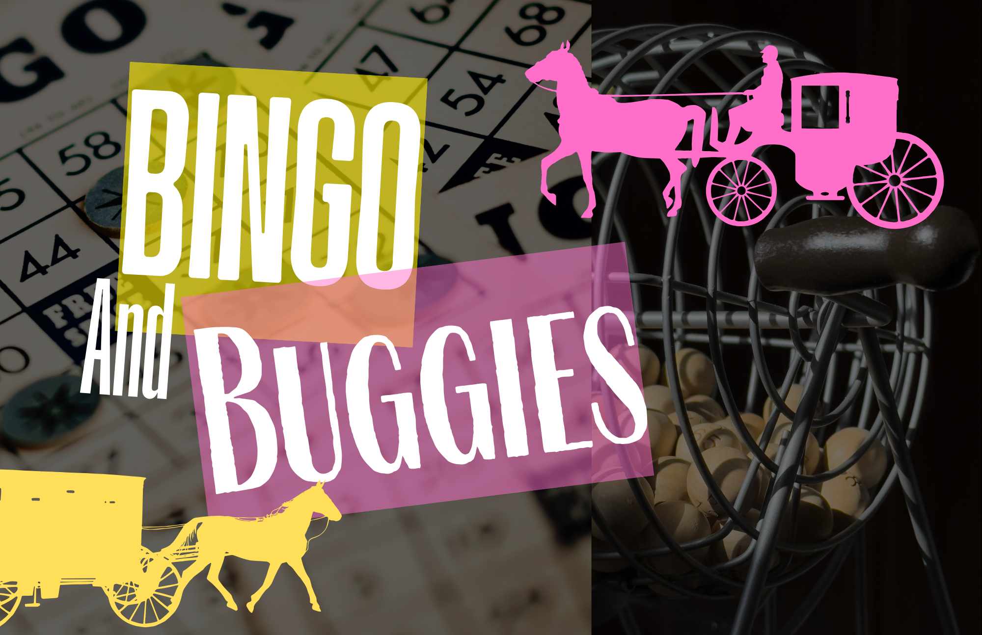 Bingo and Buggies 2026