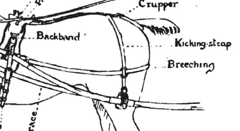Figure 5: Detail of single harness English style. (From Caigie, p. 5.) In 1883, a loose breeching caused Joseph Clark’s horse to run, throwing Clark from his carriage and causing his death.
