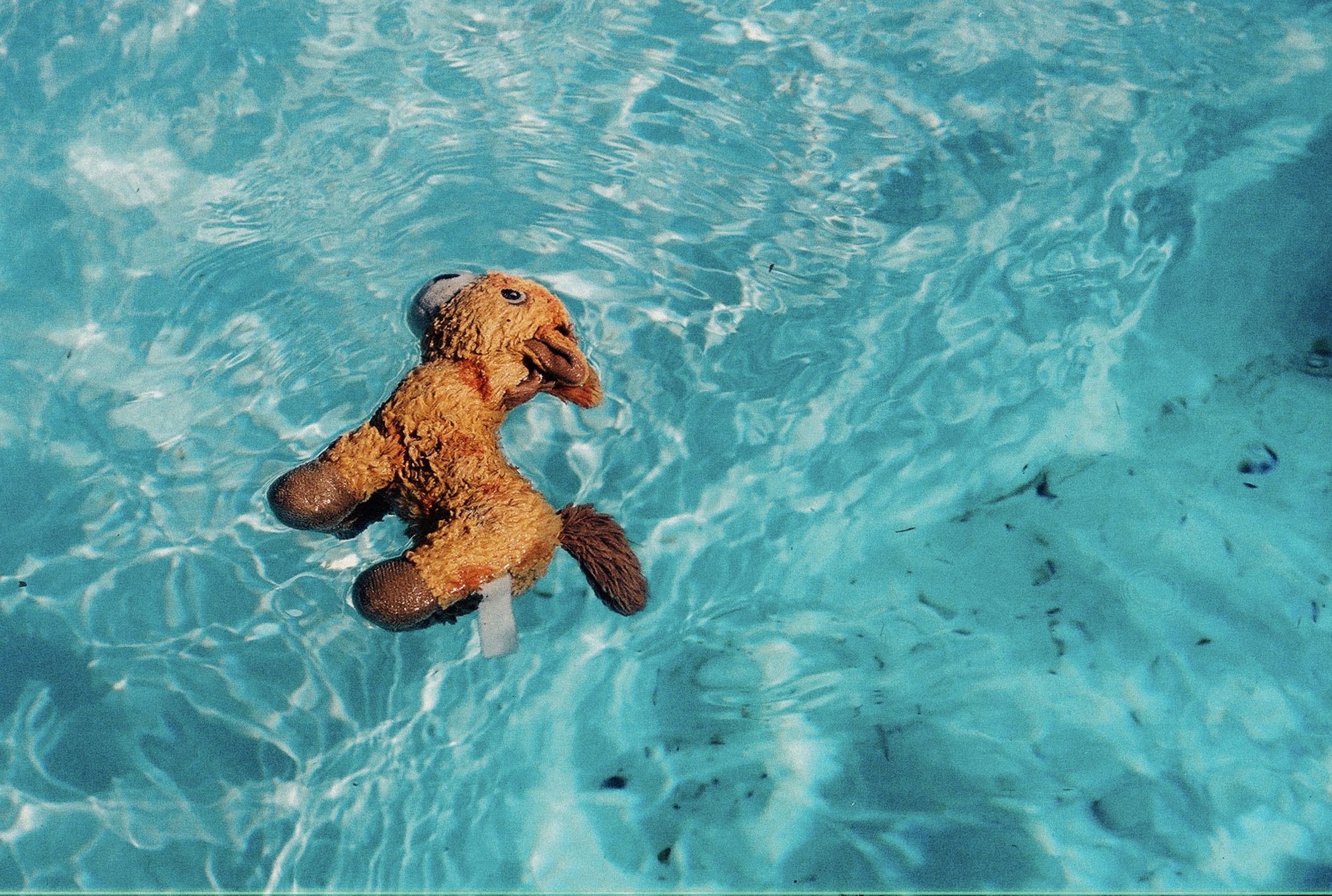 Screen Shot 2020-03-31 at 18.46.00.png