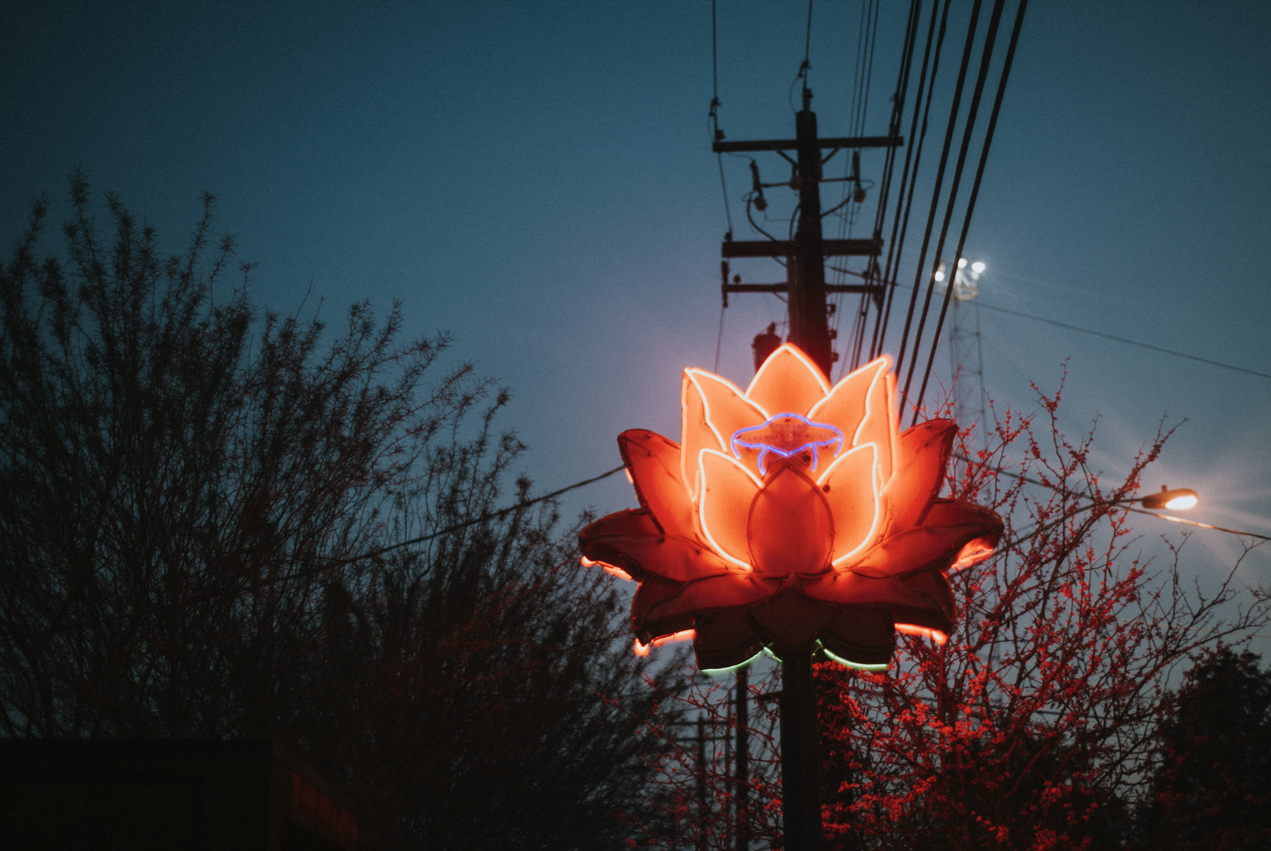 Screen Shot 2020-05-27 at 22.36.44.png