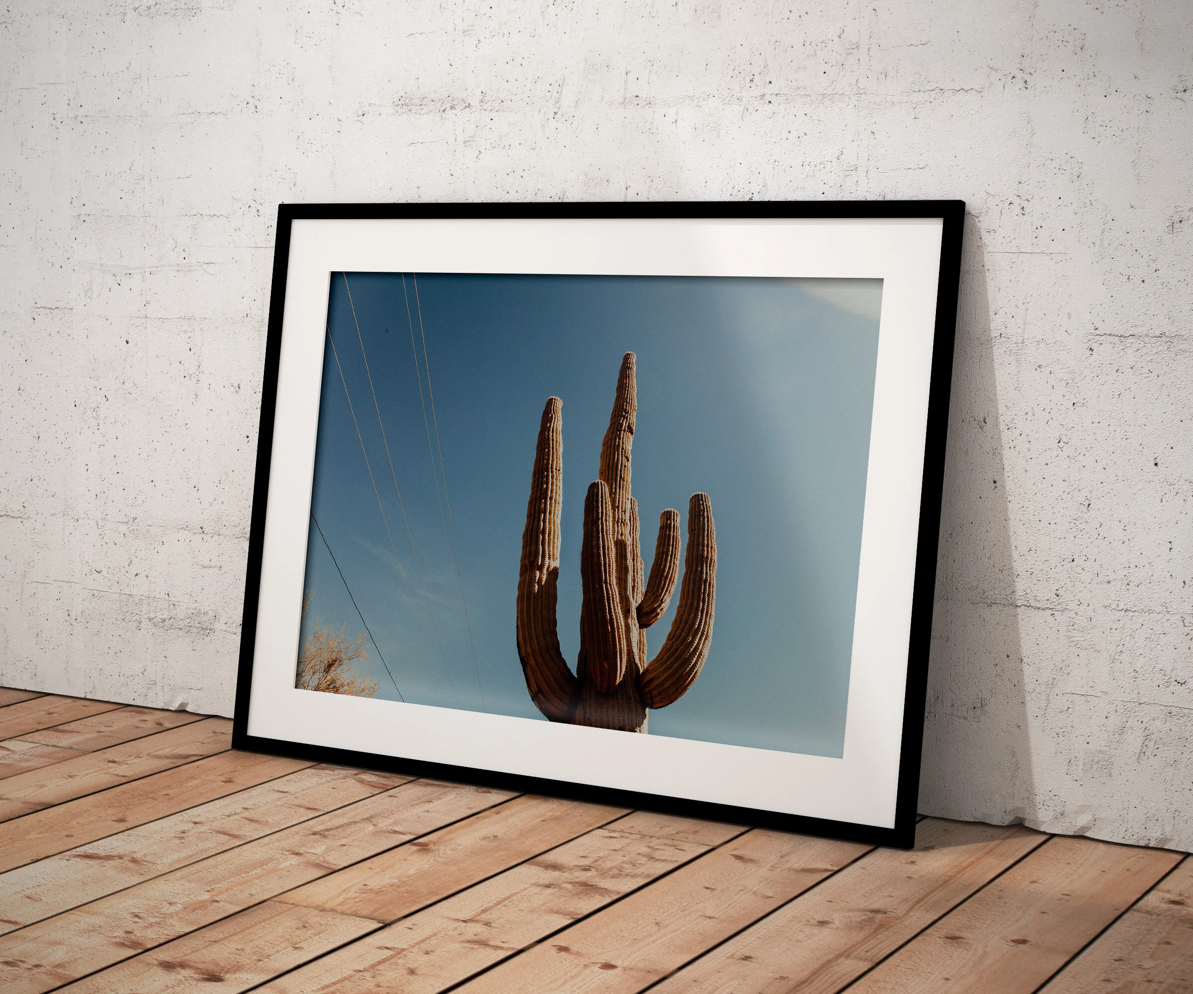 Cactus.mockup.jpg