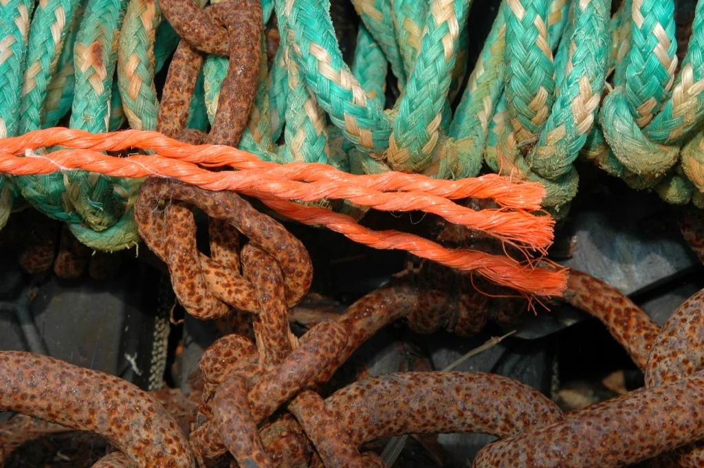 mdixon 030 web.jpg