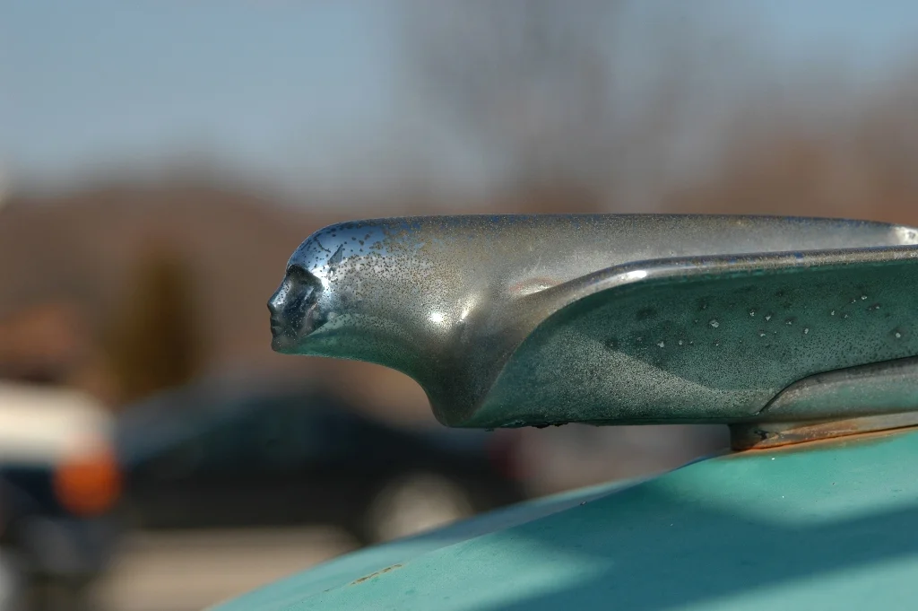 DSC_0249 web.jpg