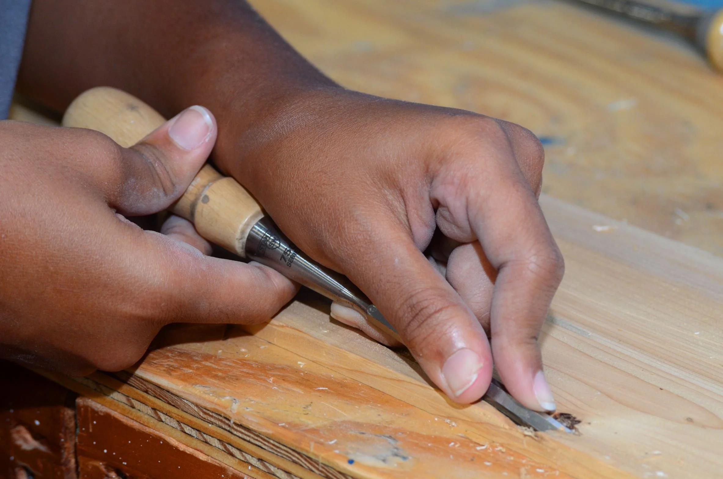 dixon015 Debbie with Chisel.JPG