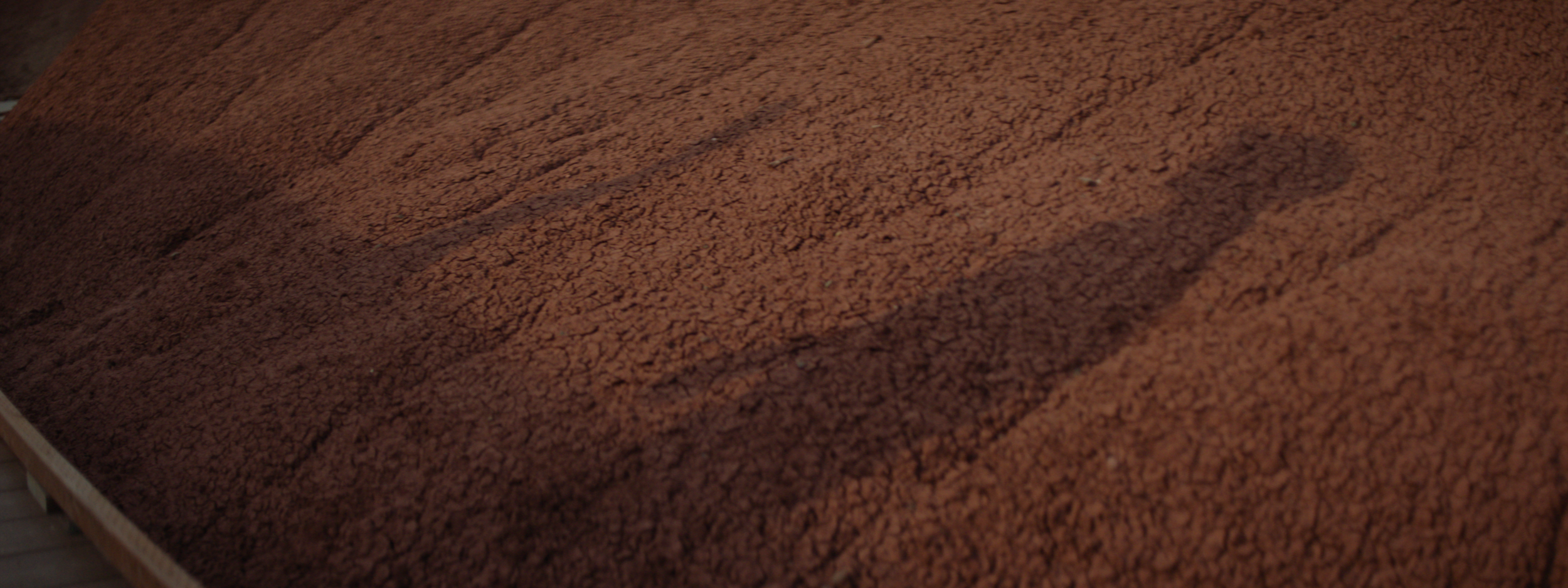 Reel Copy 01.00_00_09_14.Still009.png