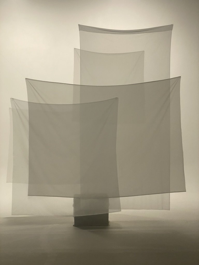 2F45B6E0-E516-4C92-9D5D-4D7787299C9A_1_105_c.jpeg
