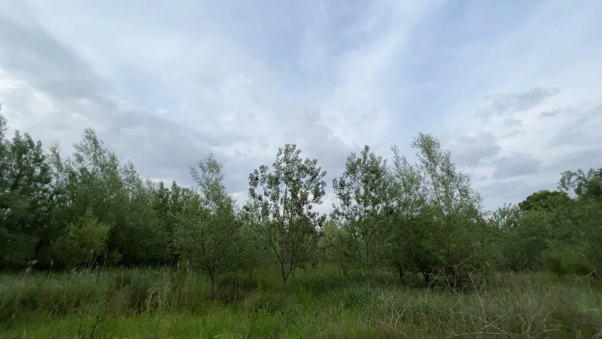 633B0624-2660-42C6-B1B1-F09E6170BE1D_1_105_c.jpeg