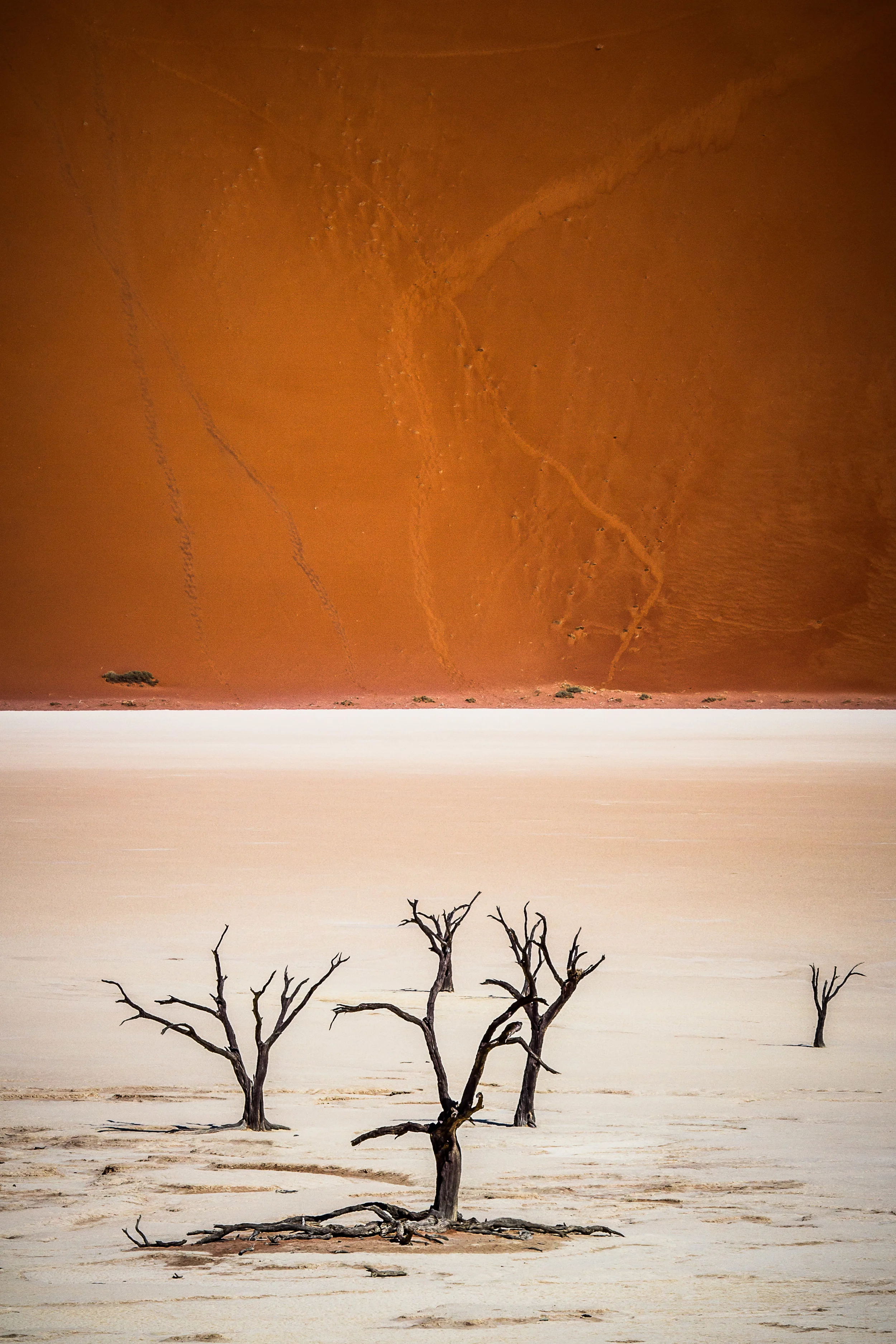 Deadvlei 2 (1 of 1).jpg