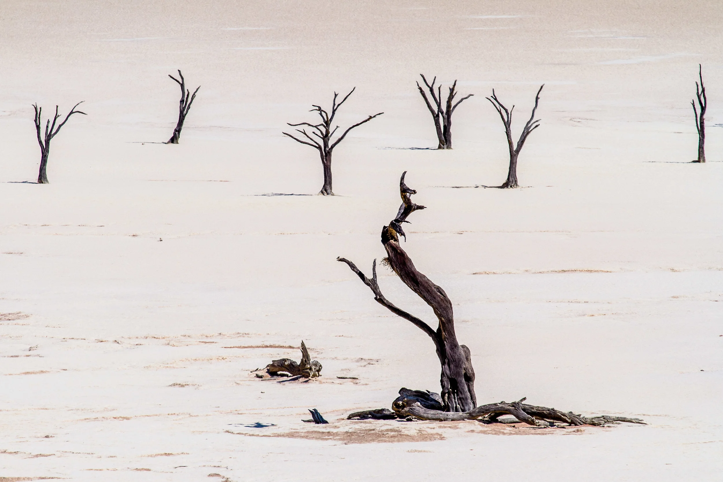 Deadvlei (1 of 1).jpg