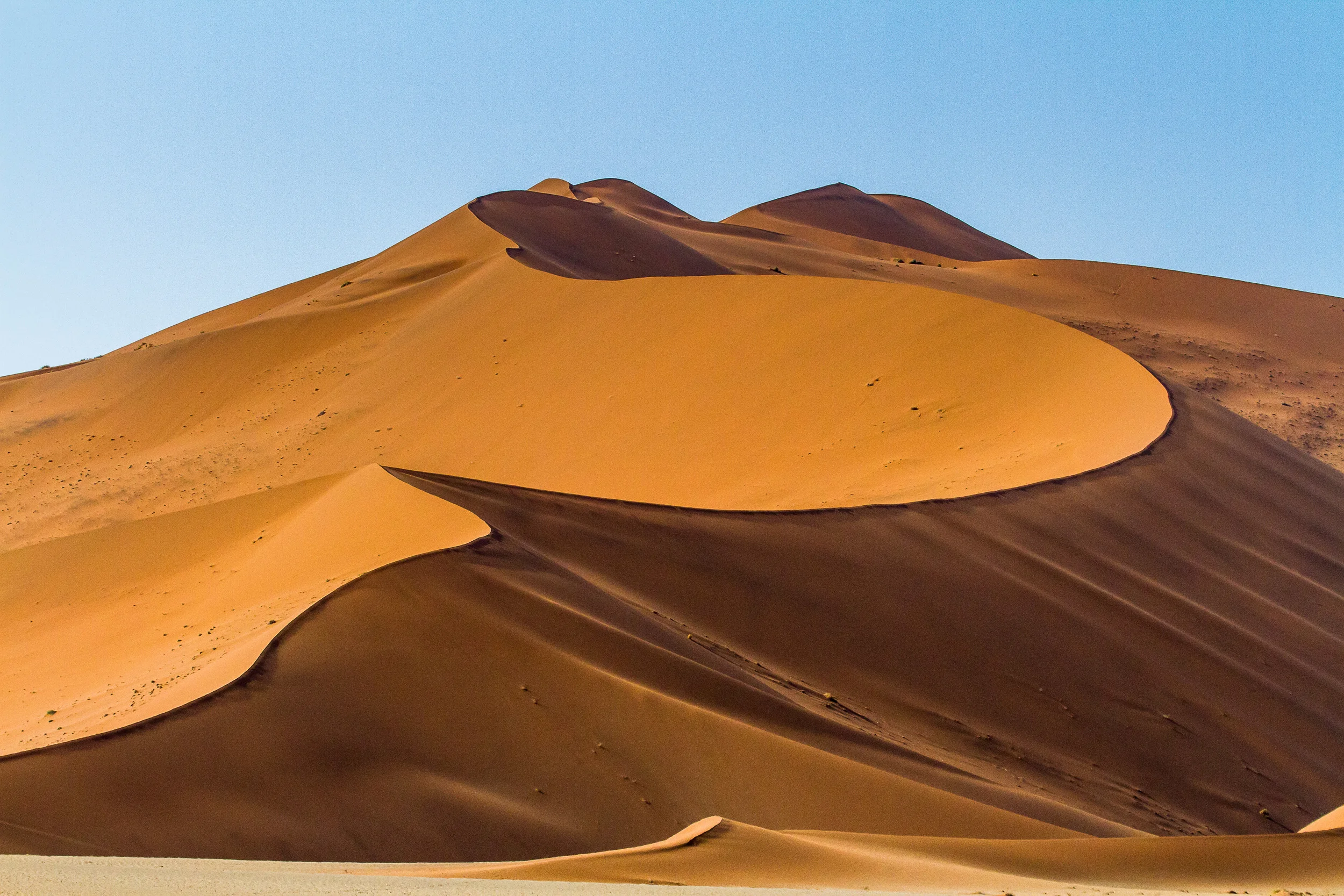 Sand Dunes (1 of 1).jpg