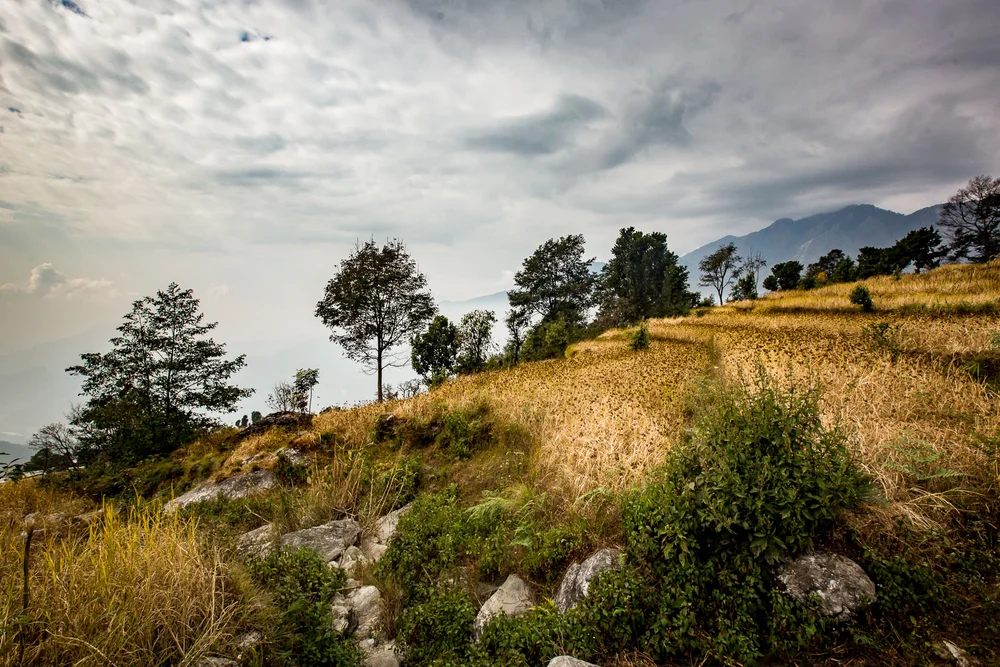 Dhading Trekking Blog II-30.jpg