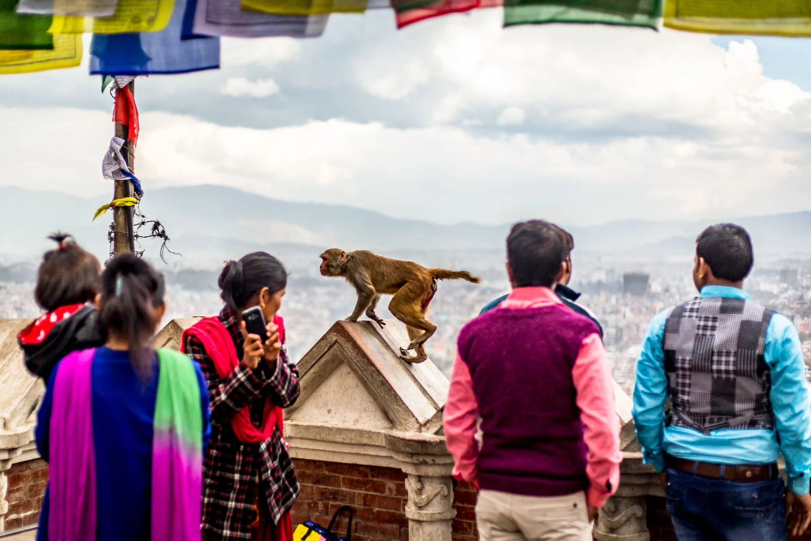 Monkey Temple Monkeys-26.jpg