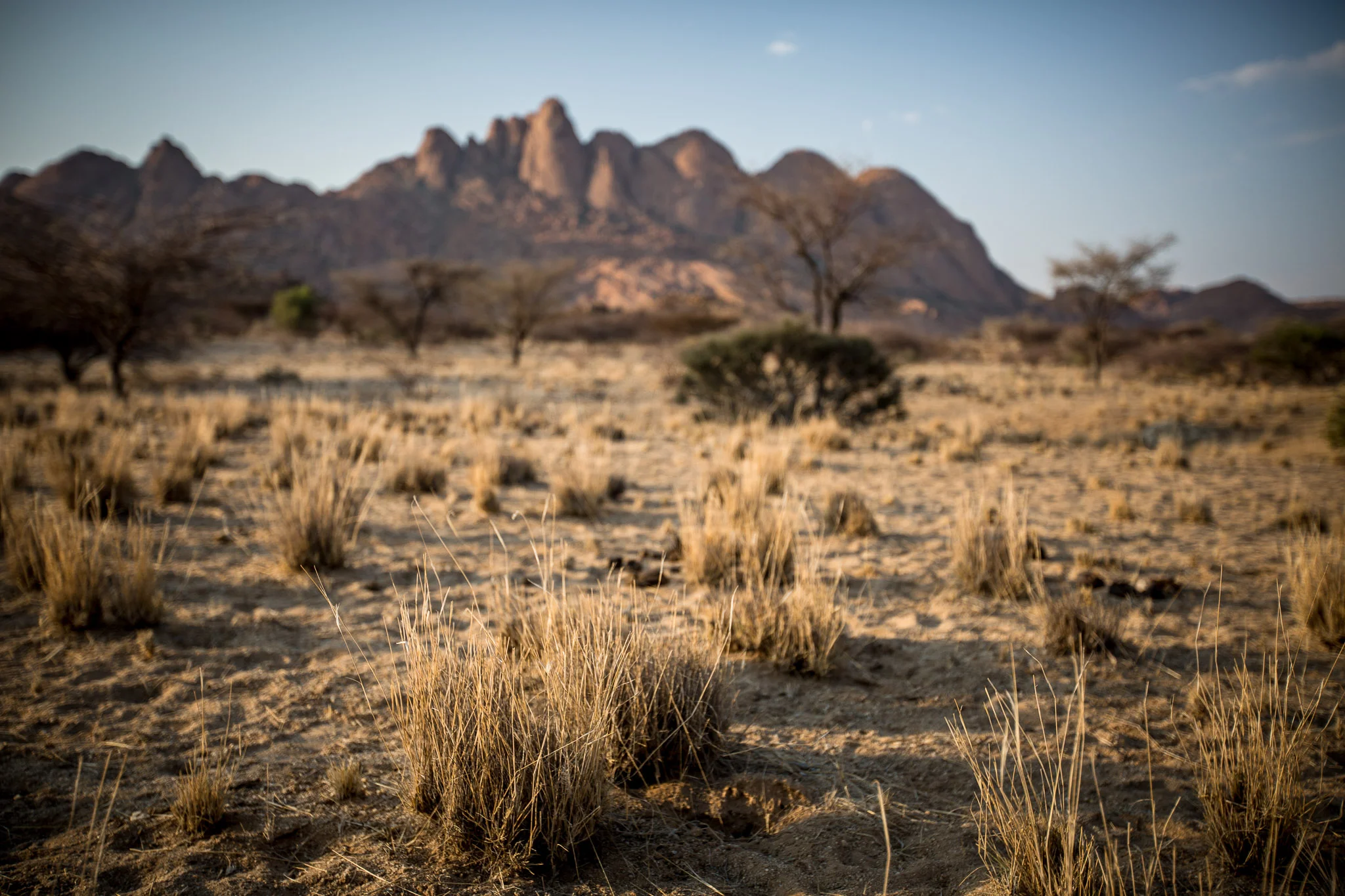 Africa 5D (237 of 602).jpg