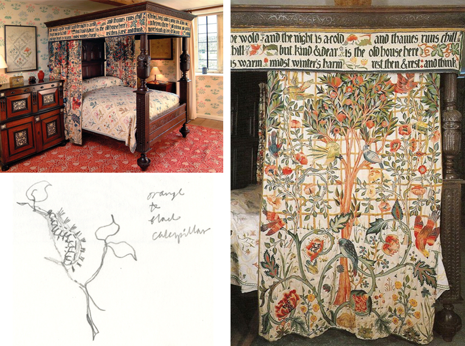 The bed: My drawing of a caterpillar embroidered on the bedcover: One of the curtains.