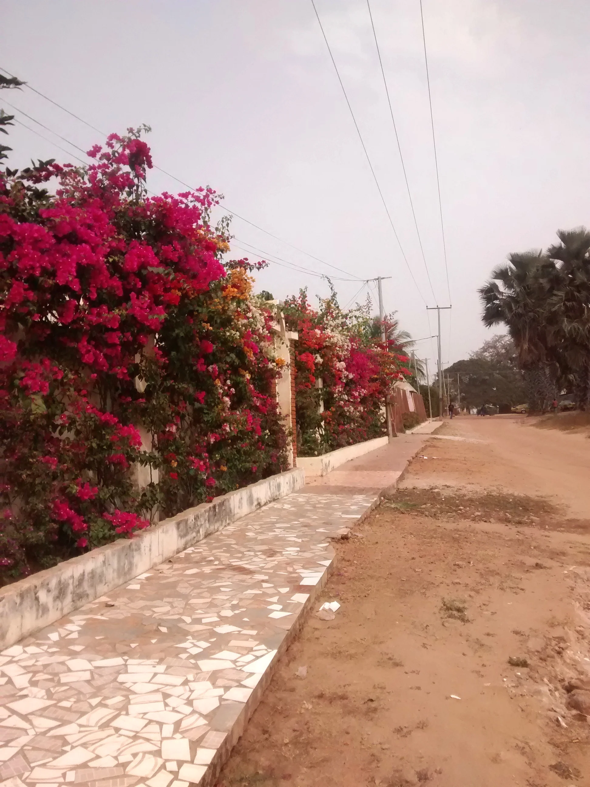 Colour in Kotu.